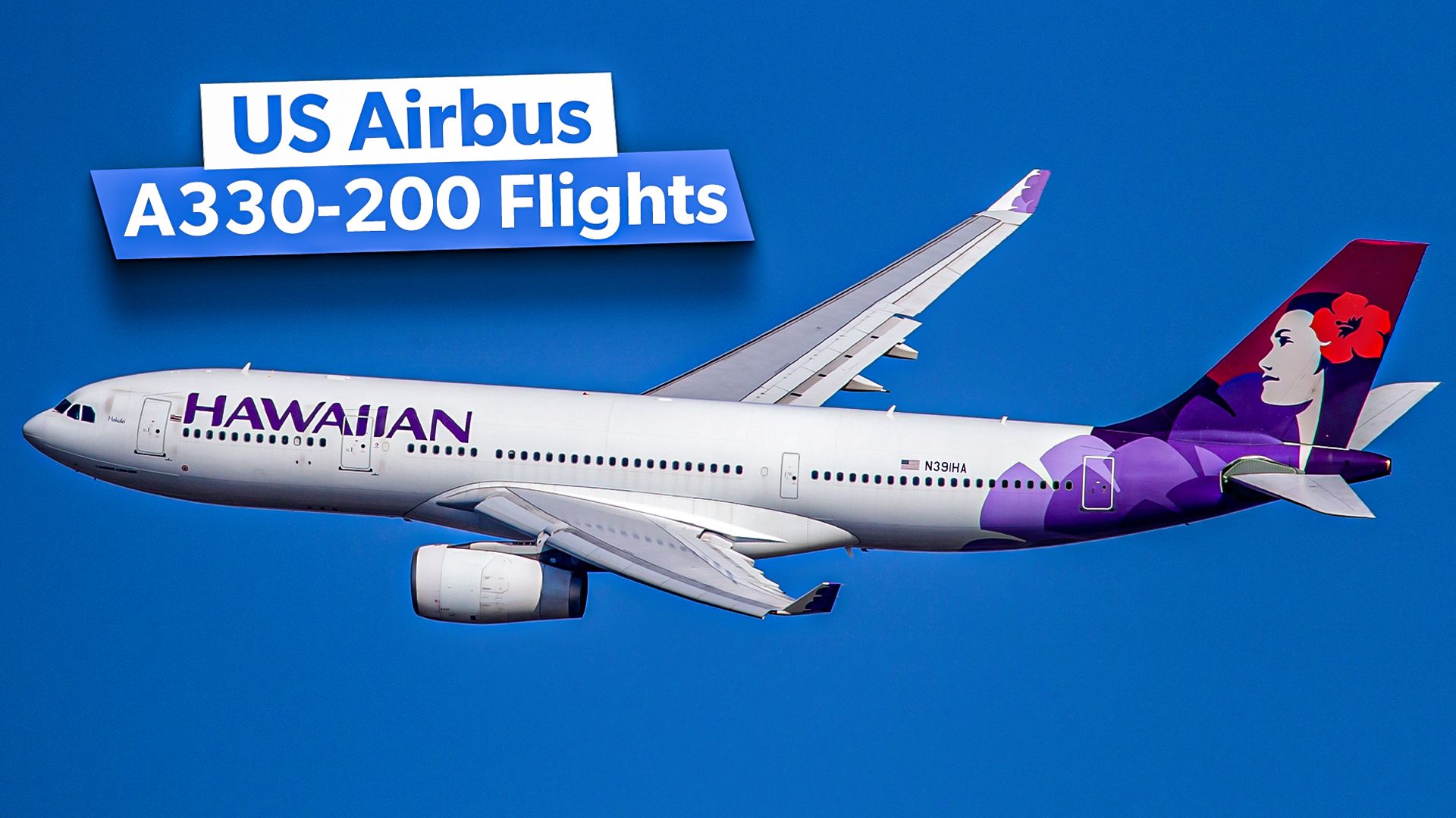 Small(er) But Mighty: These 5 Airlines Operate The Most Airbus