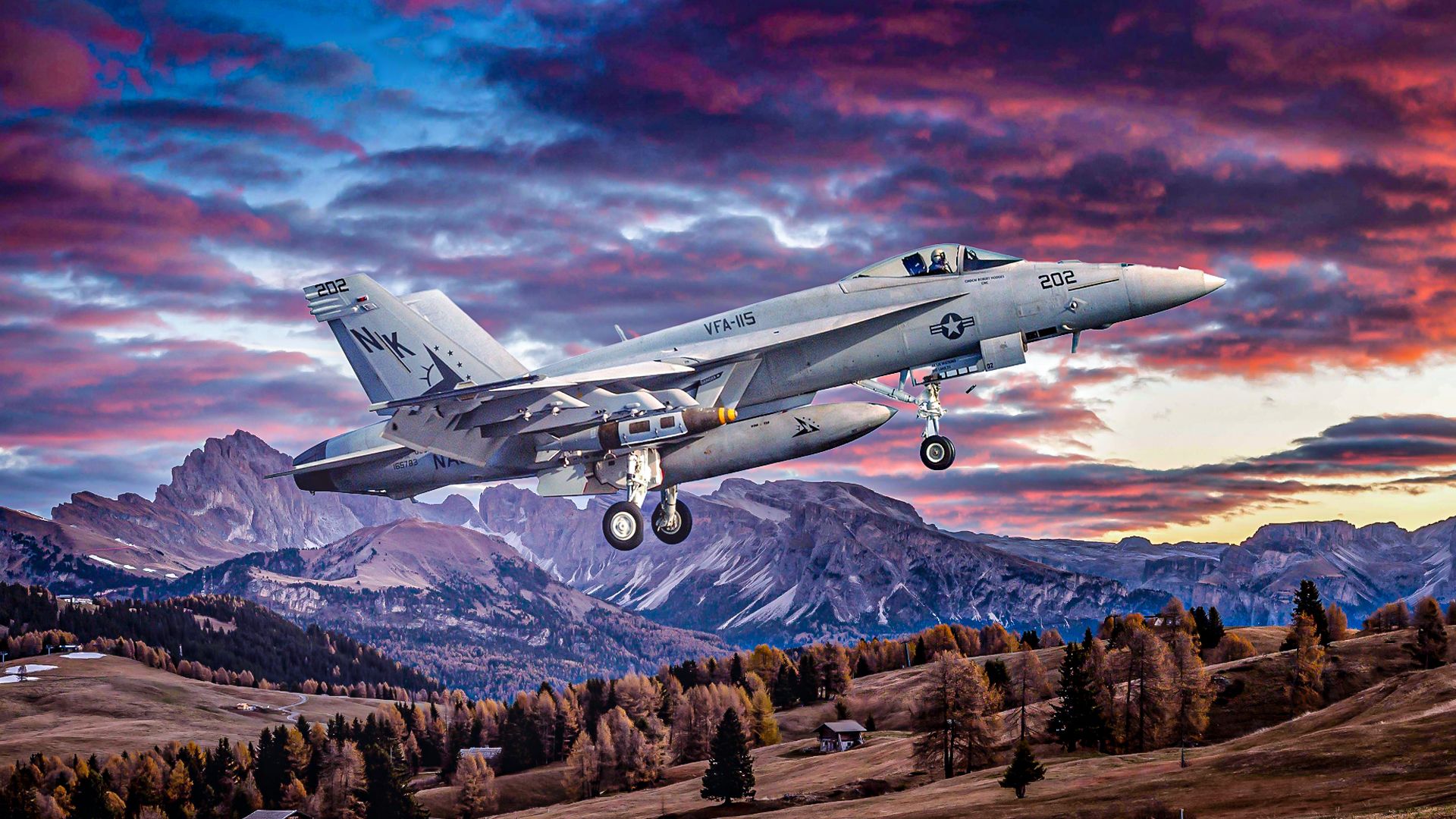 What Missions Did The F/A-18 Hornet Carry Out For The US Military?