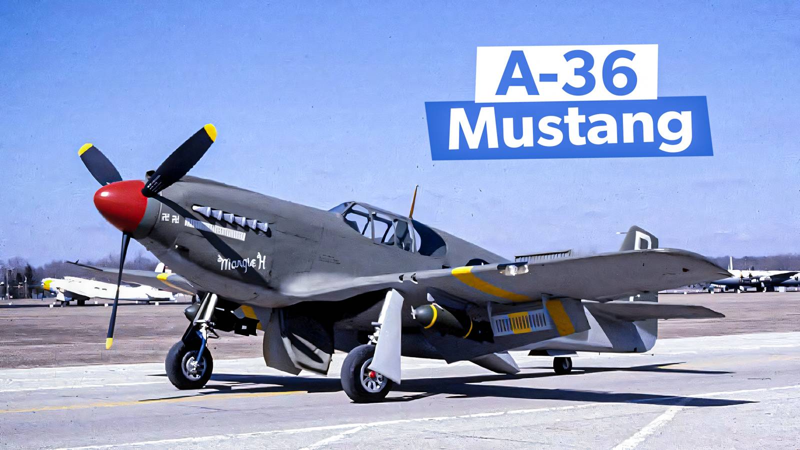What To Know: The WWII North American A-36 Mustang Ground Attack P-51 Variant