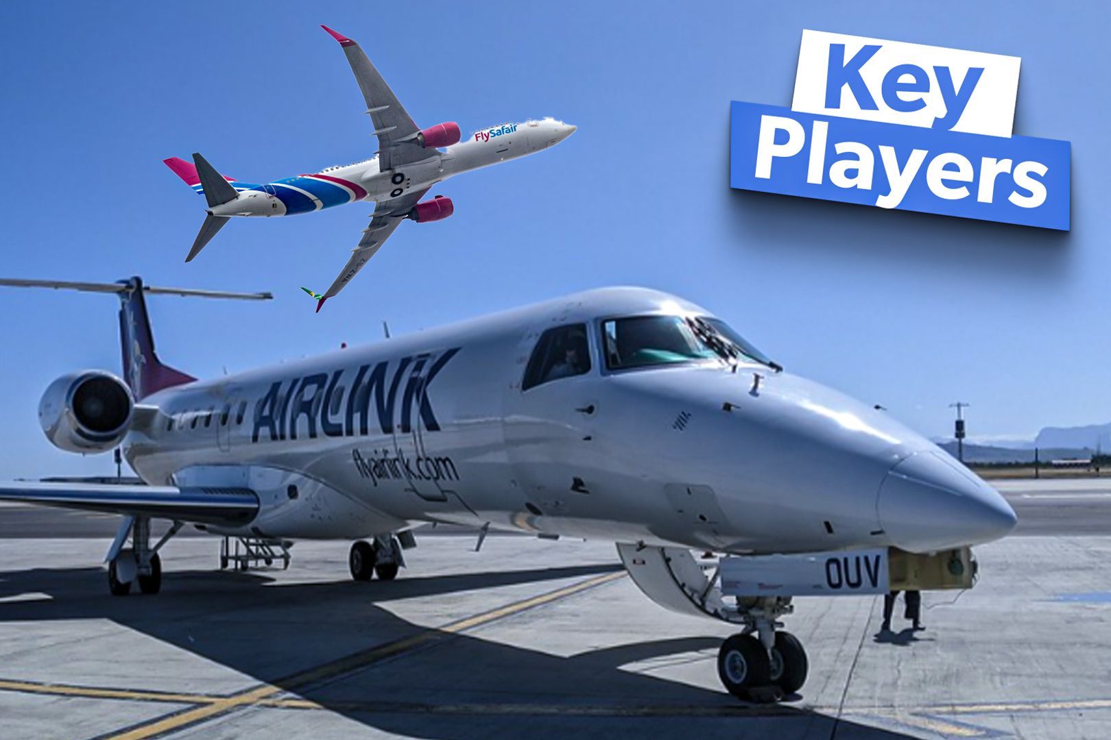 A Brief Guide To The Key Players In The South African Domestic Market