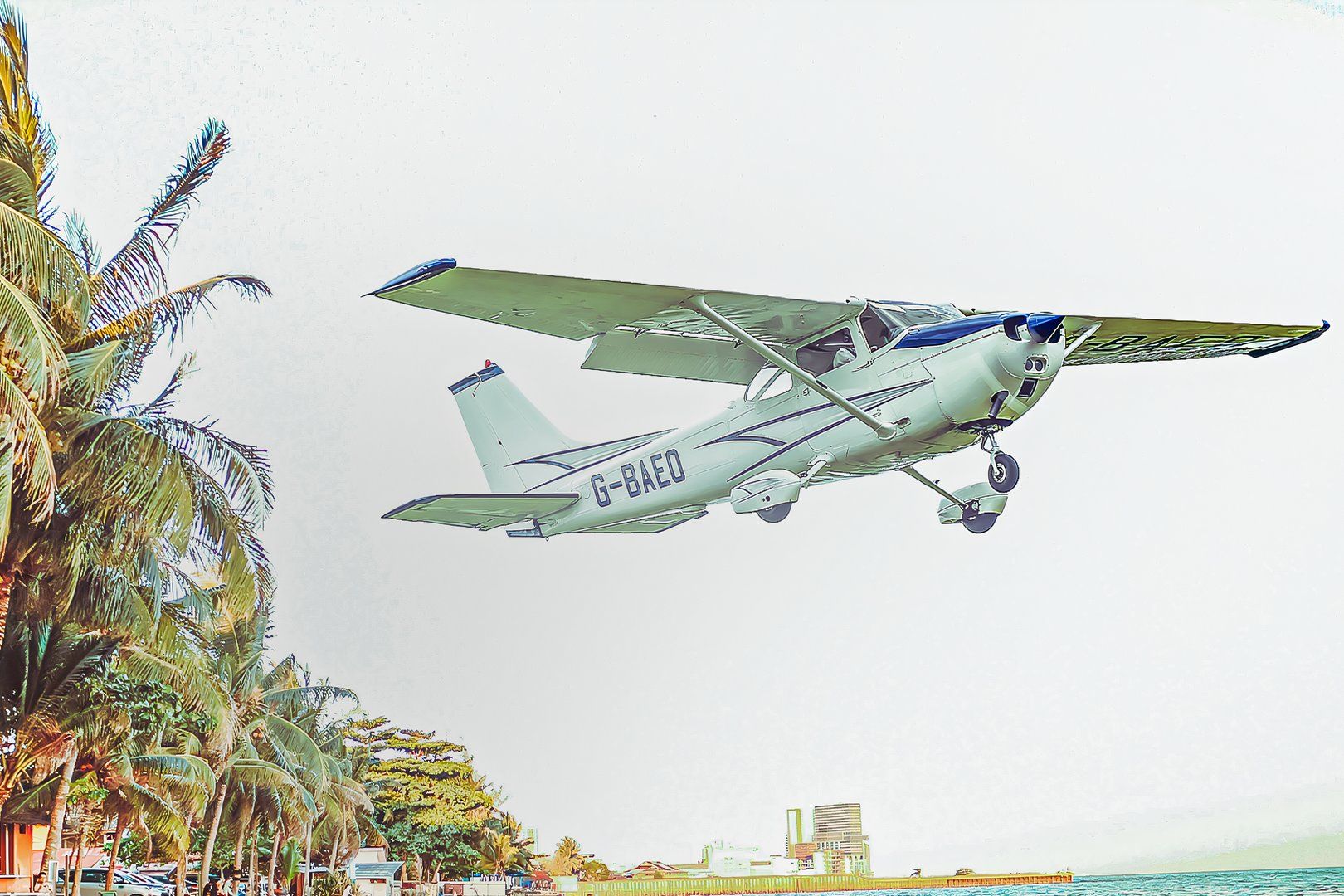 Seven Unique Cessna Single-Engine Aircraft