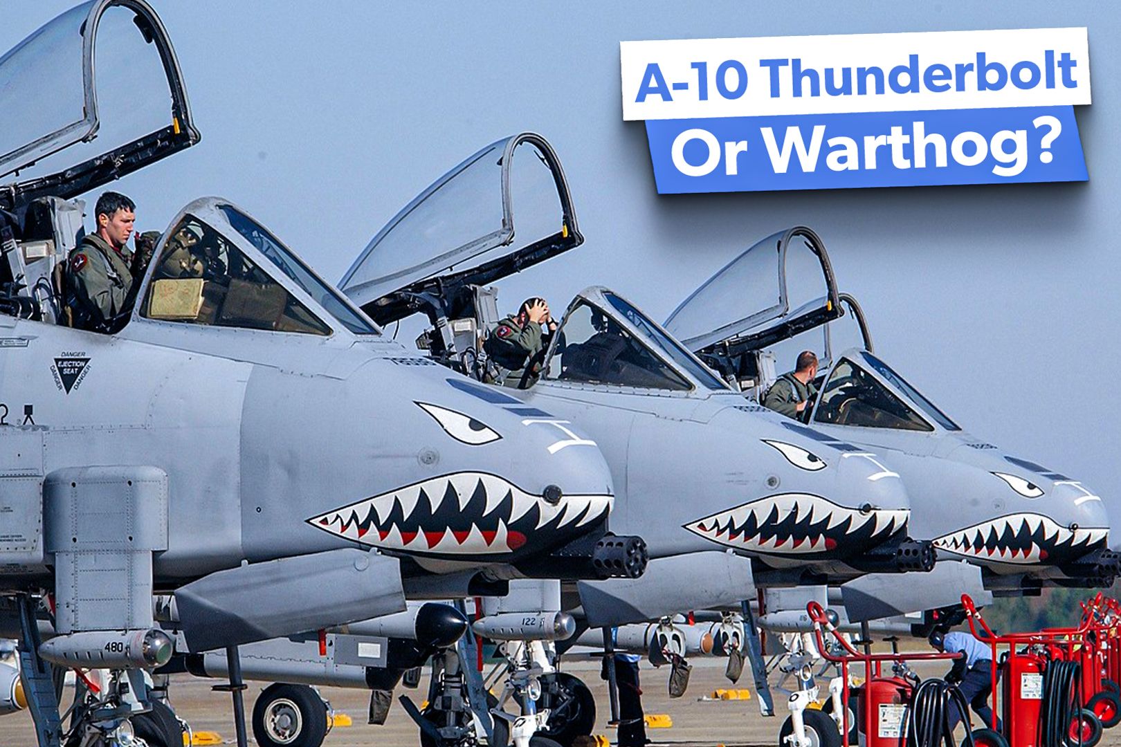 Why Is The A-10 Thunderbolt Called The "Warthog" By Many?