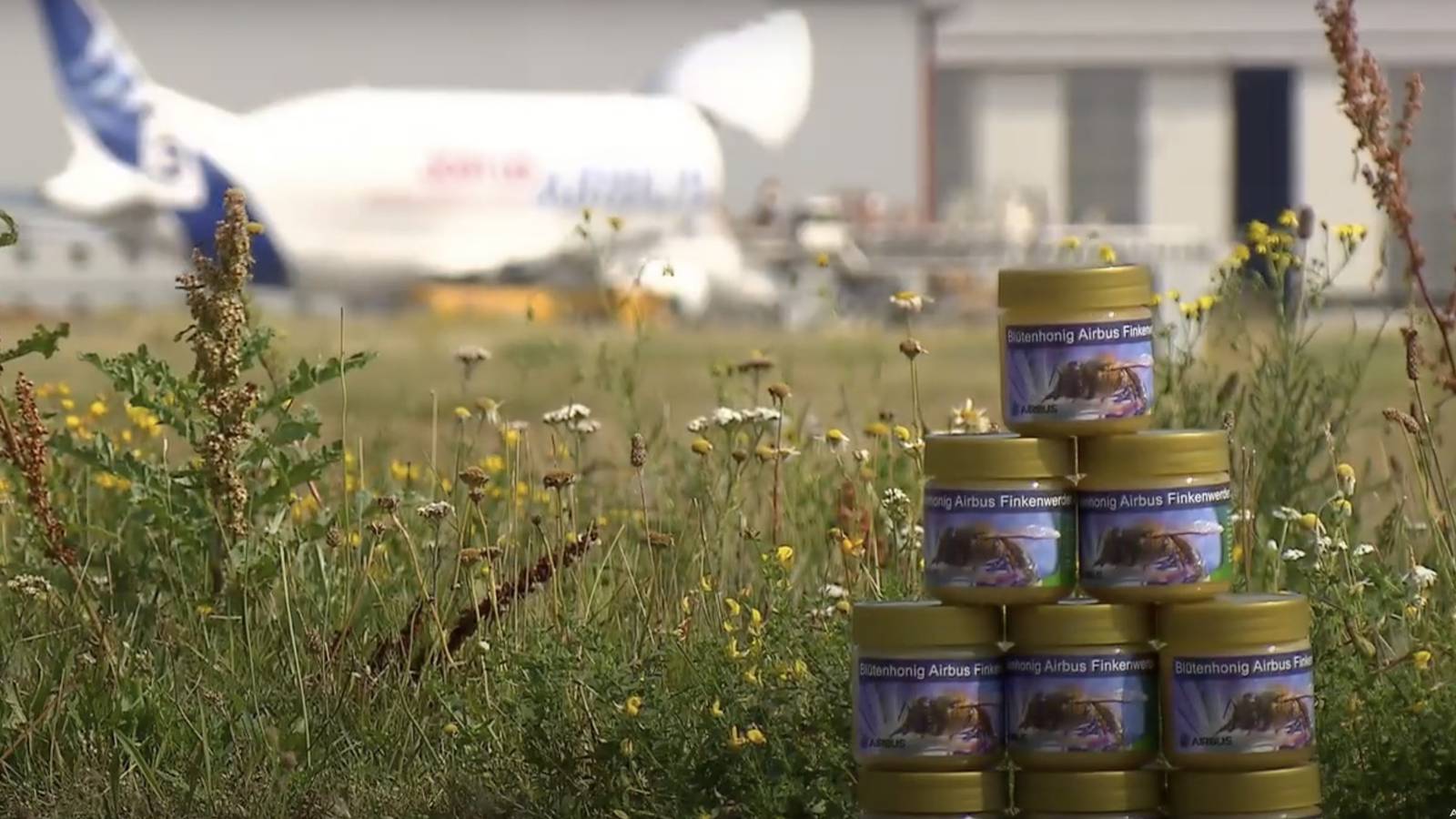 How & Why Are Bees Helping Hamburg Airport's Sustainability Efforts?