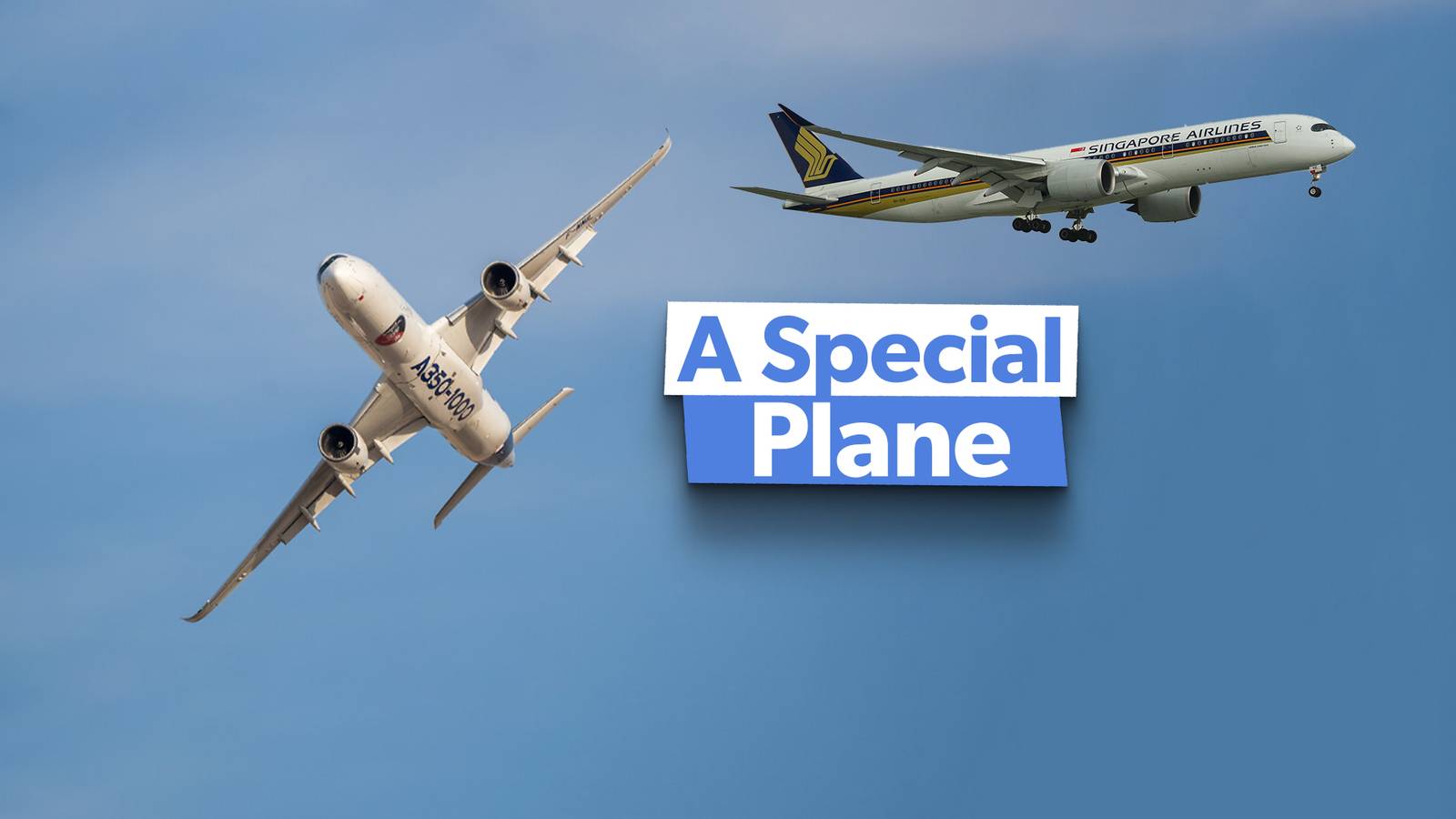 Airbus A350 5 Facts That Make It A Special Plane