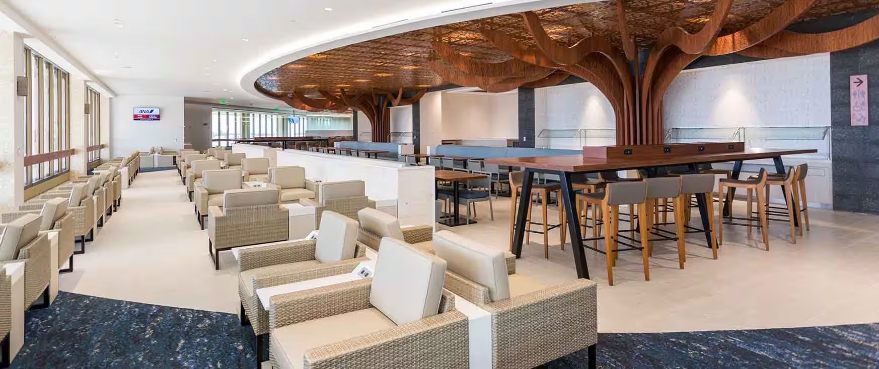 Which Airlines Provide Lounge Access With Premium Economy Tickets
