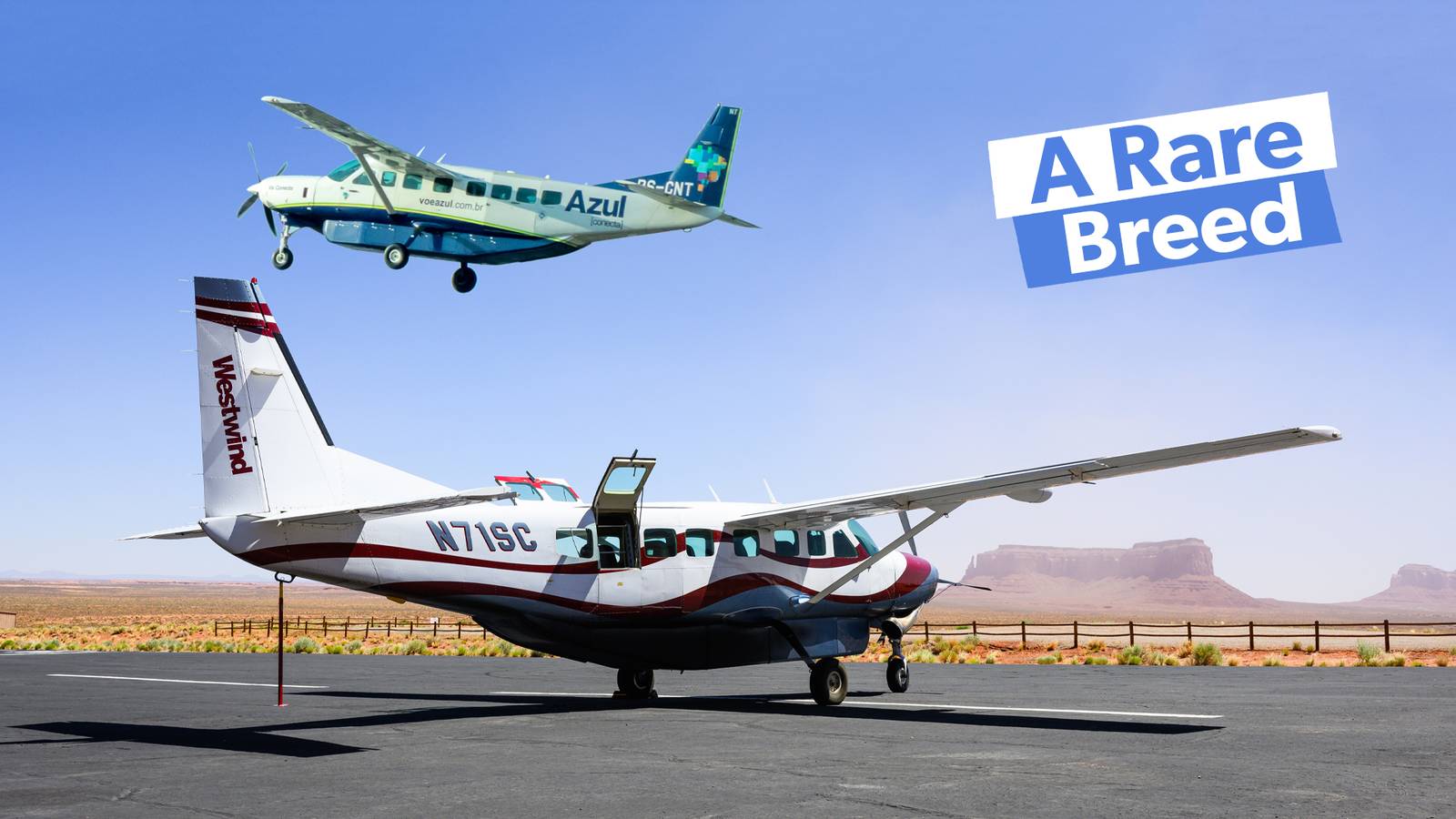 Are There Any Single-Engine Airliners?