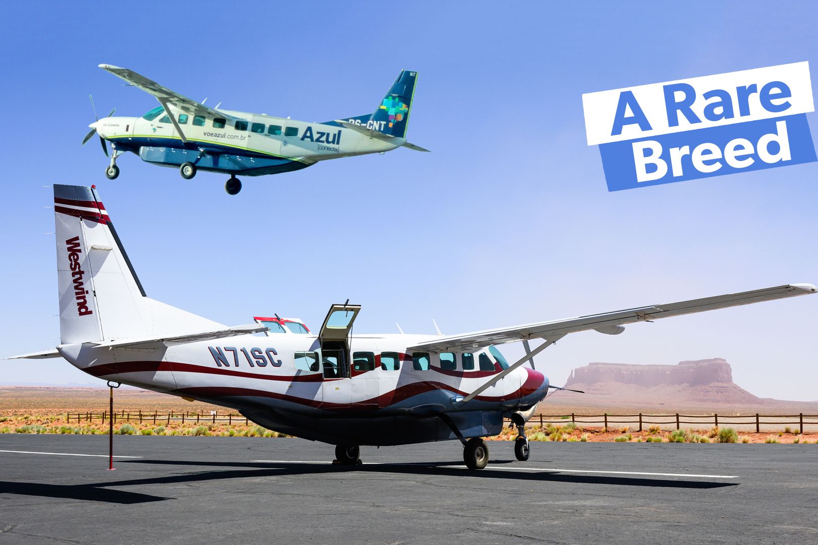 Are There Any Single-Engine Airliners?