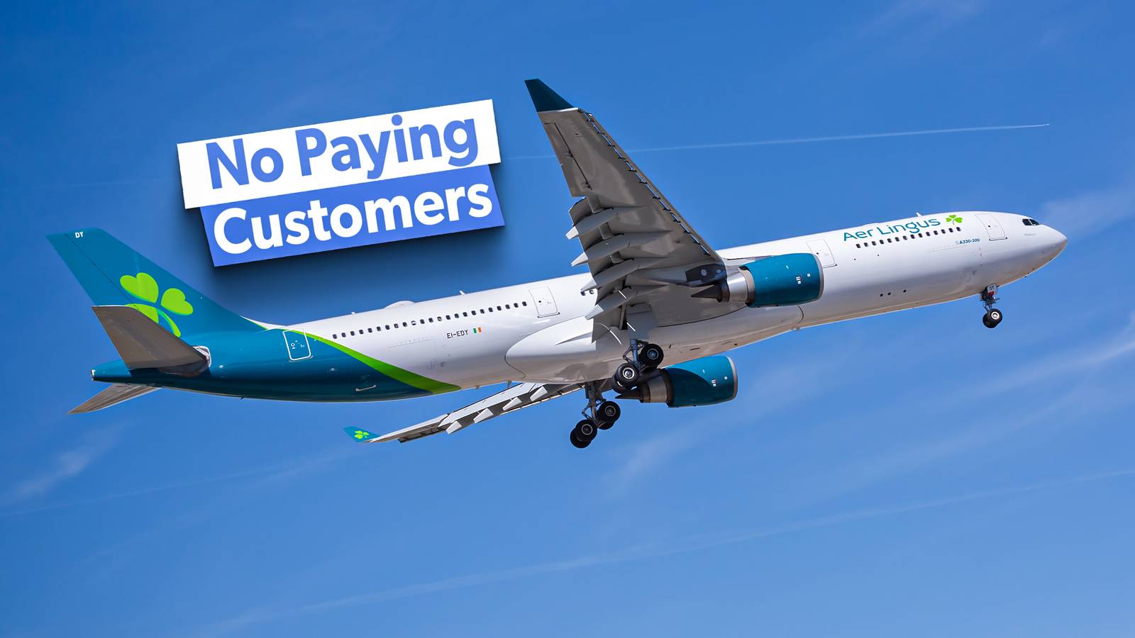 What Strategic Arguments Are Behind The Concept Of Loyalty-Only Flights?
