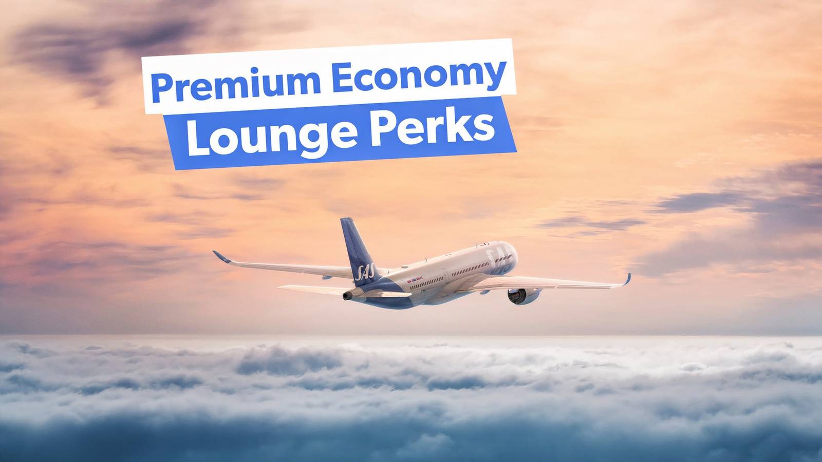 Which Airlines Provide Lounge Access With Premium Economy Tickets?