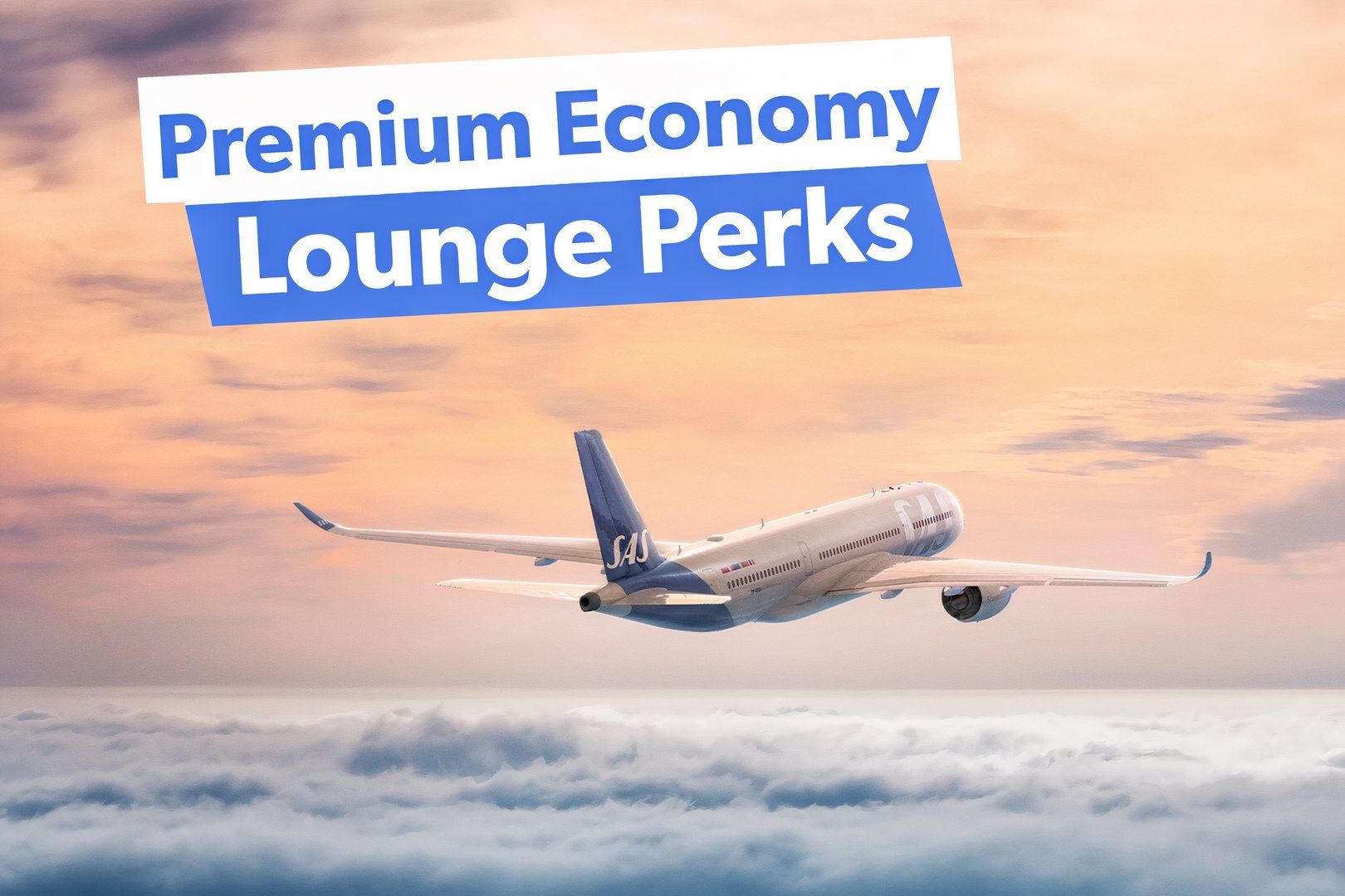 Which Airlines Provide Lounge Access With Premium Economy Tickets?
