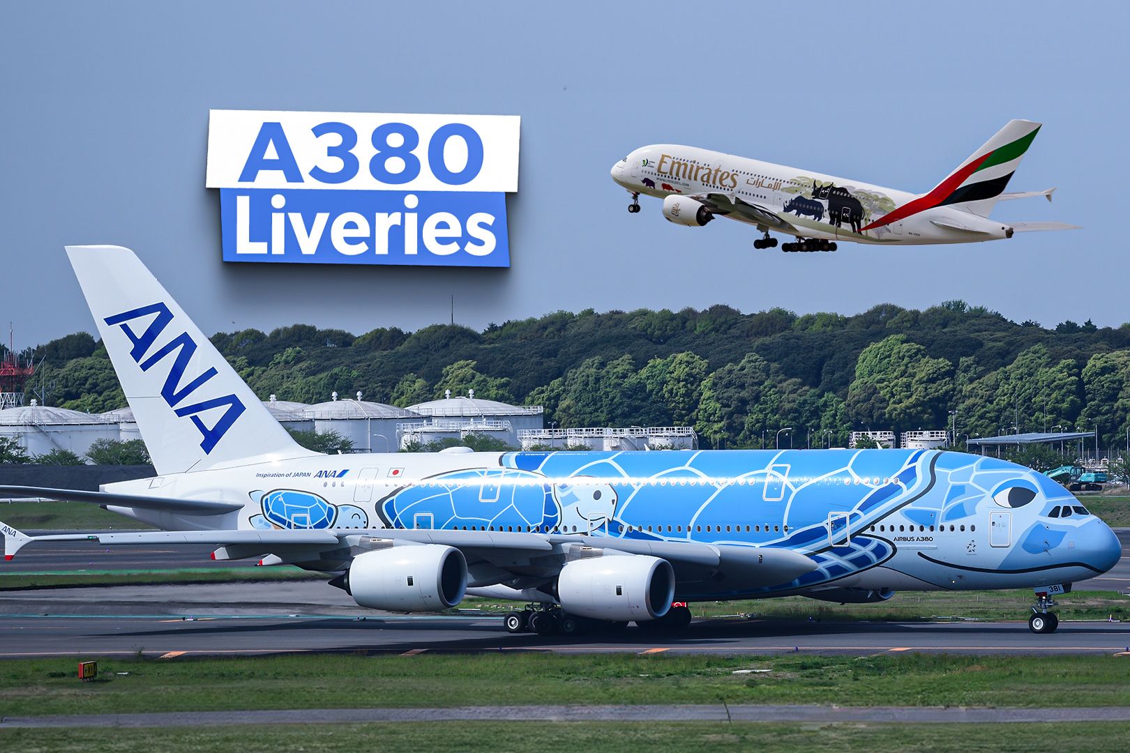 Top 5: The Best-Looking Liveries To Grace The Airbus A380's Considerable Fuselage
