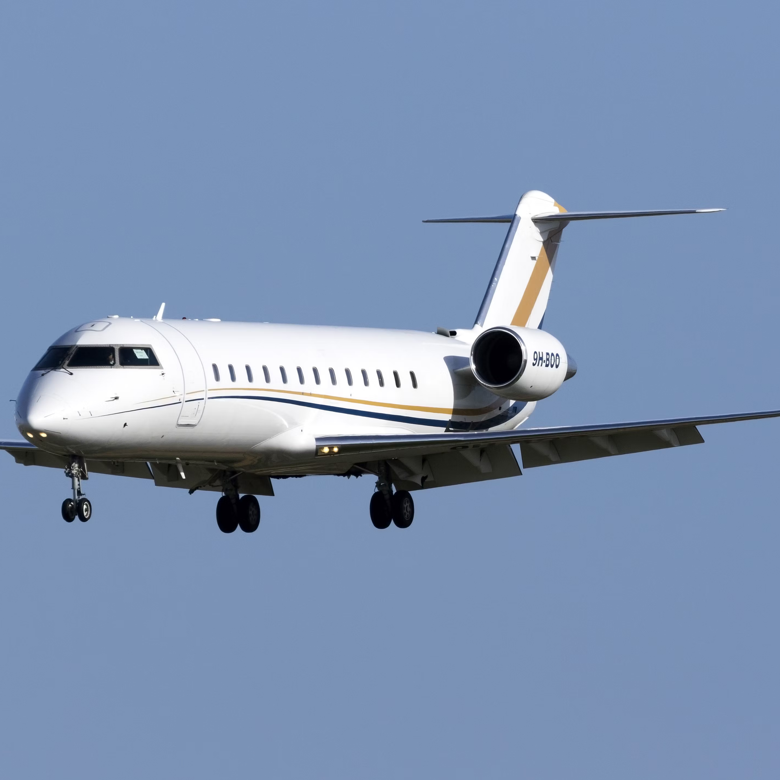 6 Cool Things Inside Jay-Z's Private Jet: A Bombardier Challenger 850