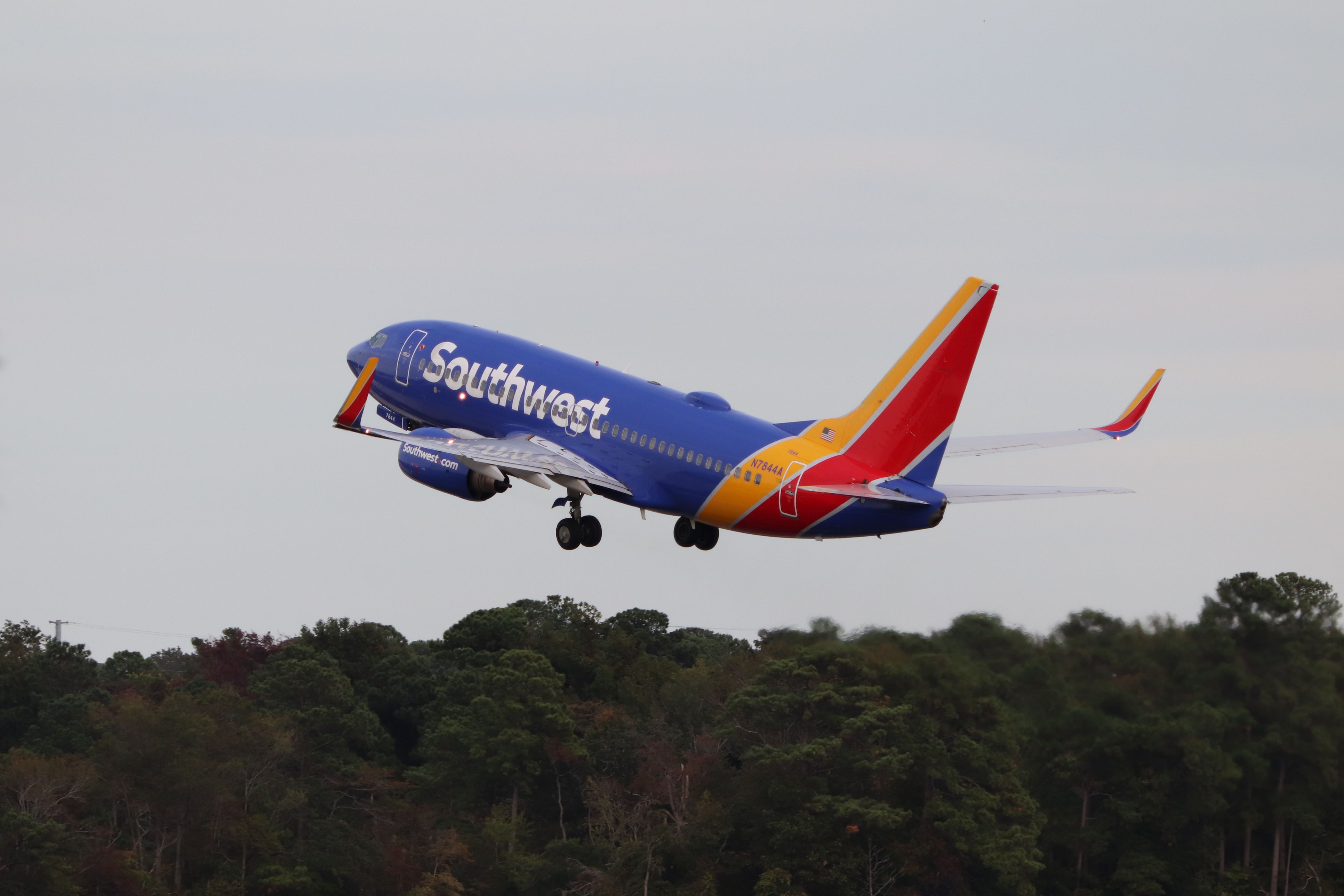 Fat Acceptance Association Slams Southwest Airlines For Silence On Plus-Size Passenger Inclusivity