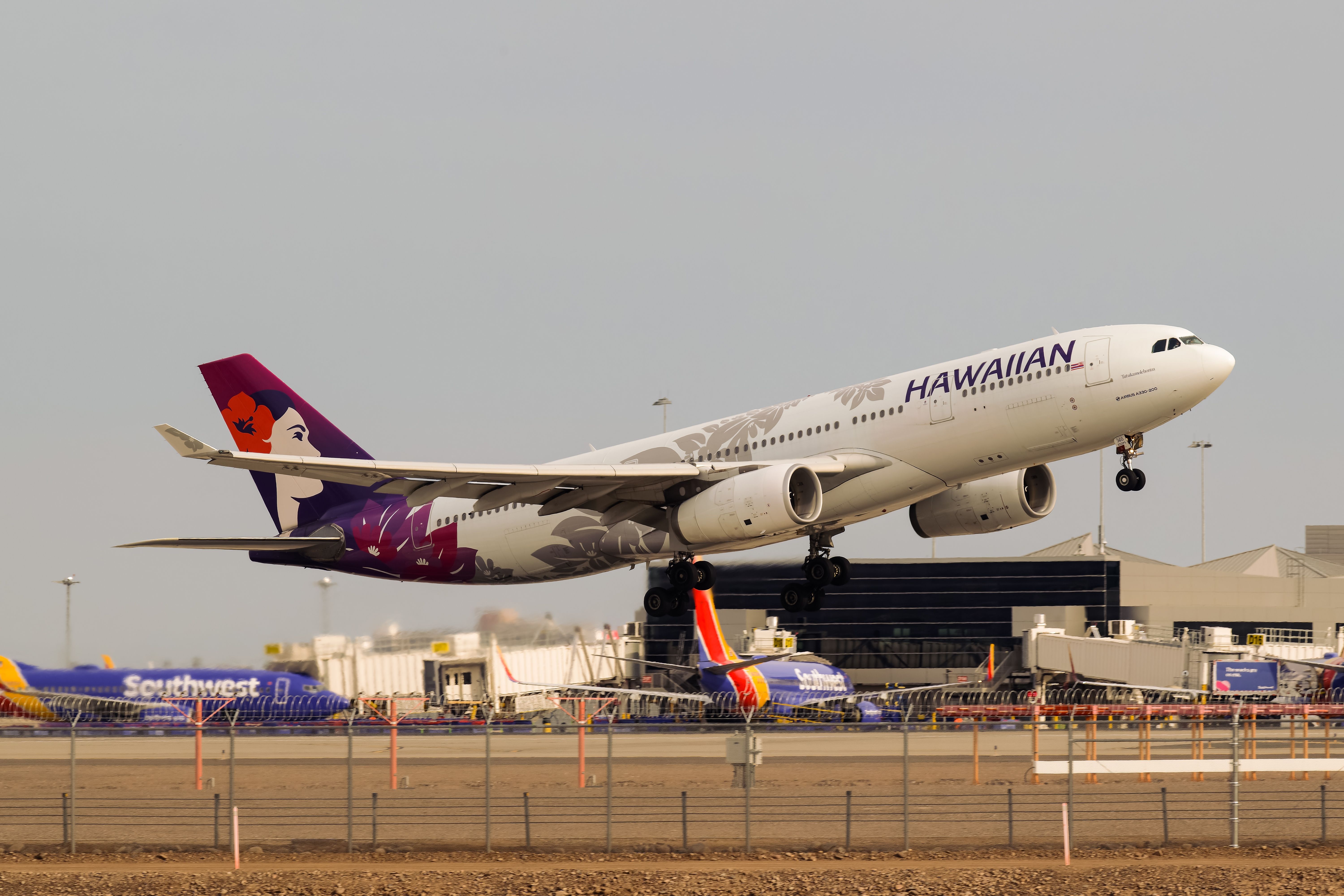 Deep Dive: Examining Hawaiian Airlines' Californian Routes