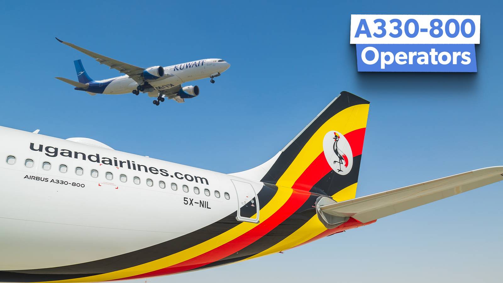 Rare Variant: Which Airlines Currently Fly The Airbus A330-800?