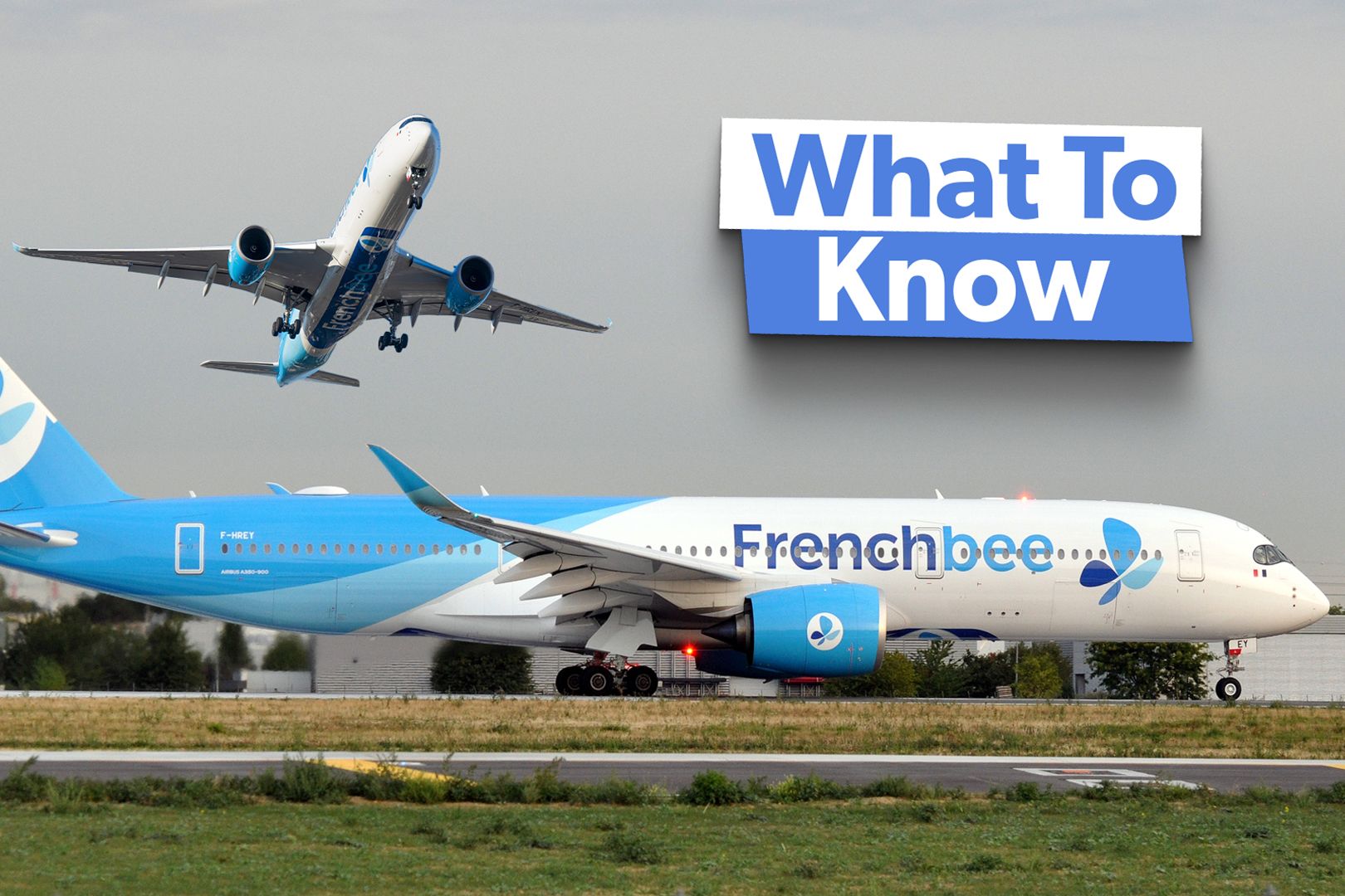 French bee's Ticket Types: A Brief Guide