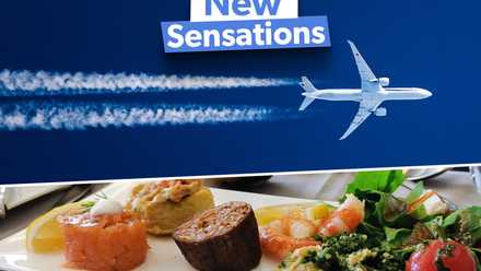 travel with taste: how airlines and railways raise the... 10 Airlines With The Best Food Onboard