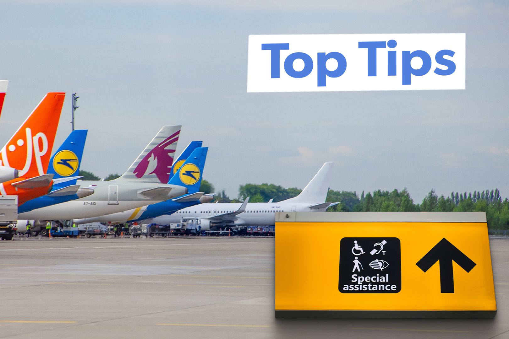 Special assistance top tips.