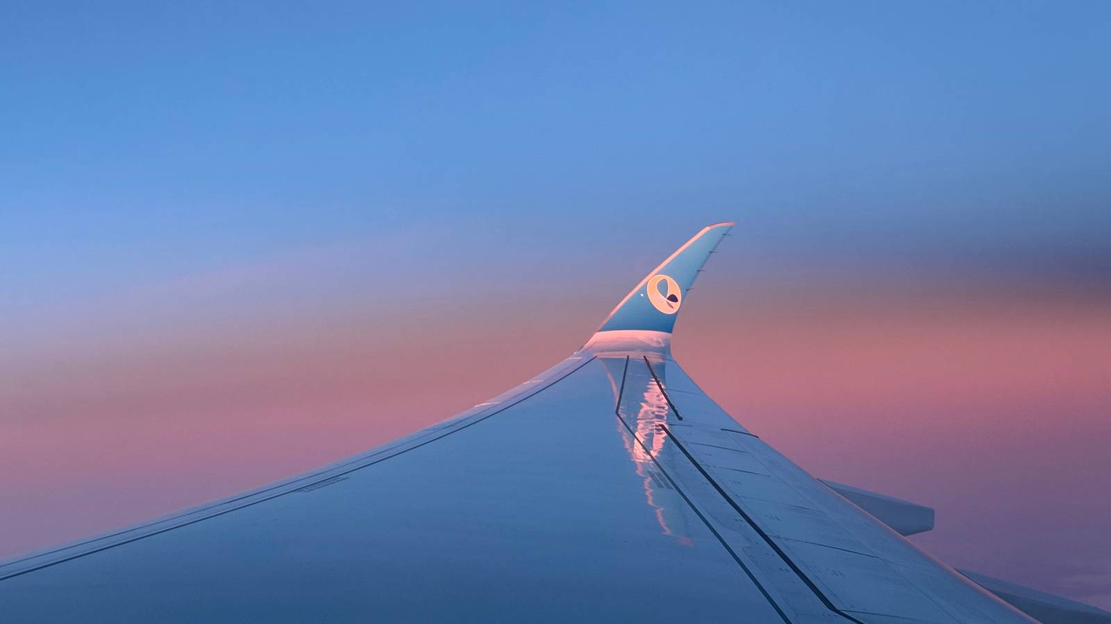 Flight Review: French Bee Airbus A350 In Eco Blue From Paris Orly To Newark