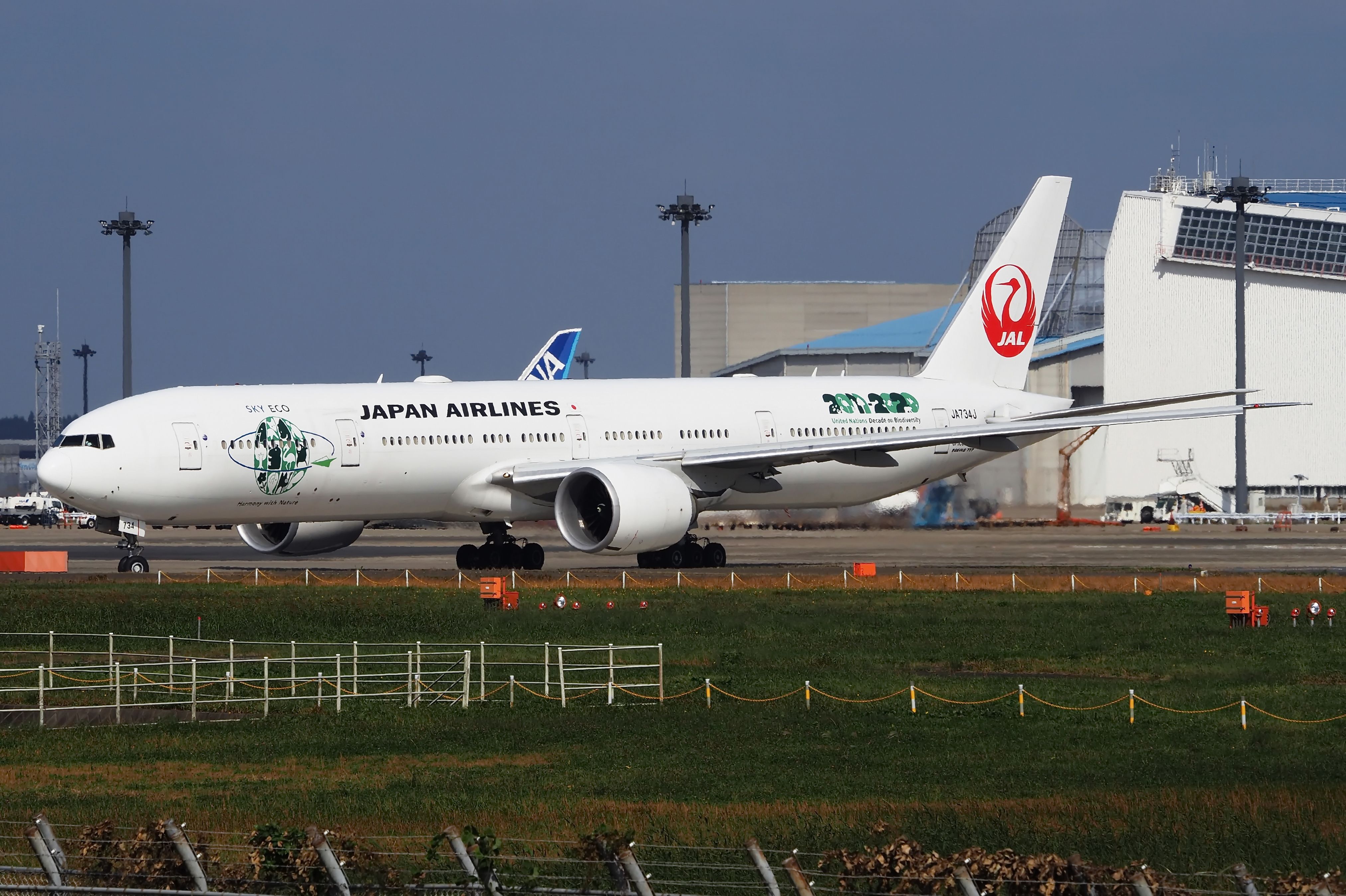 Is United Airlines Interested In Japan Airlines' Retired Boeing