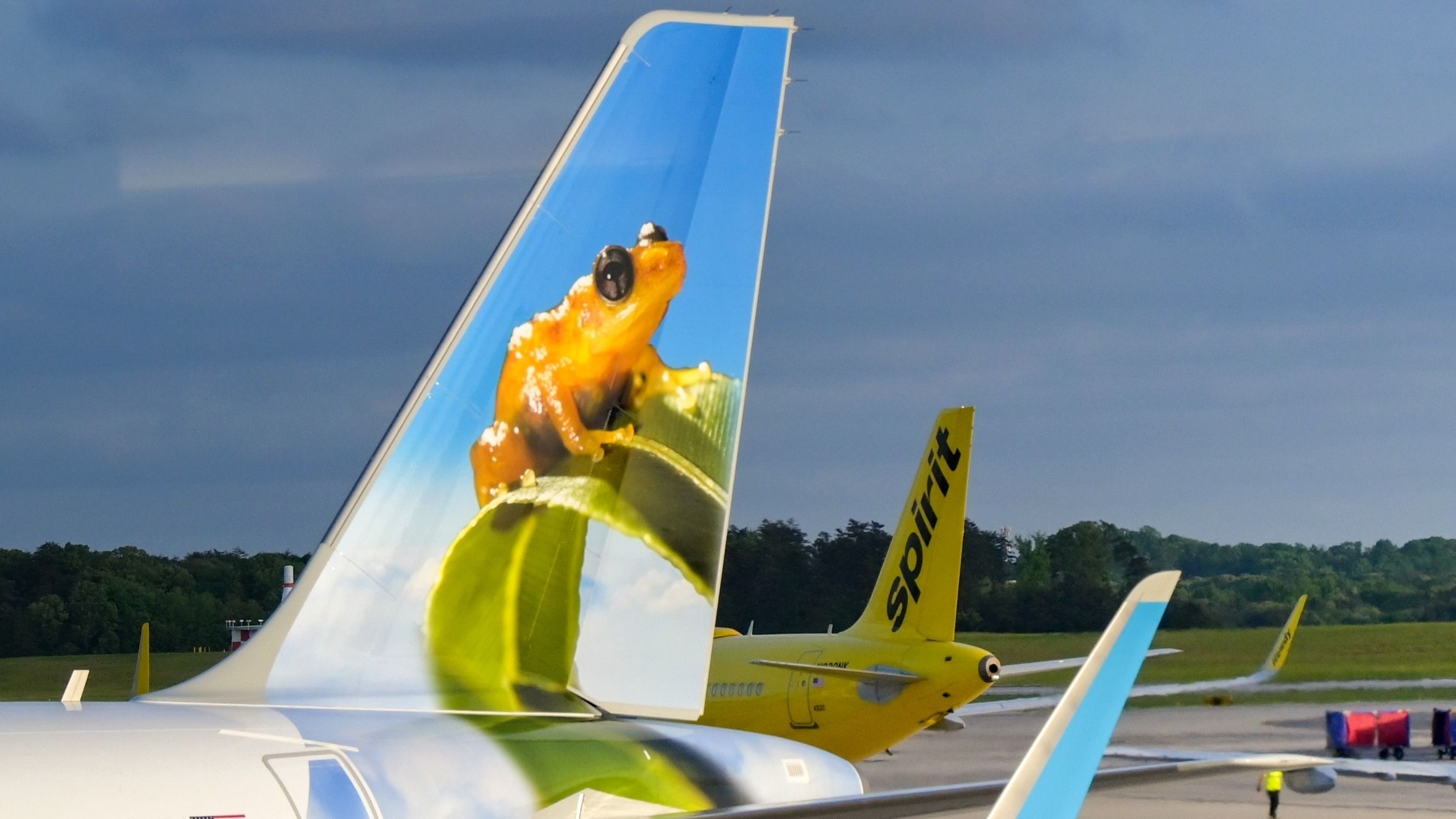 Breeze Airways' CEO David Neeleman Expects Spirit & Frontier Airlines To Retry Merger