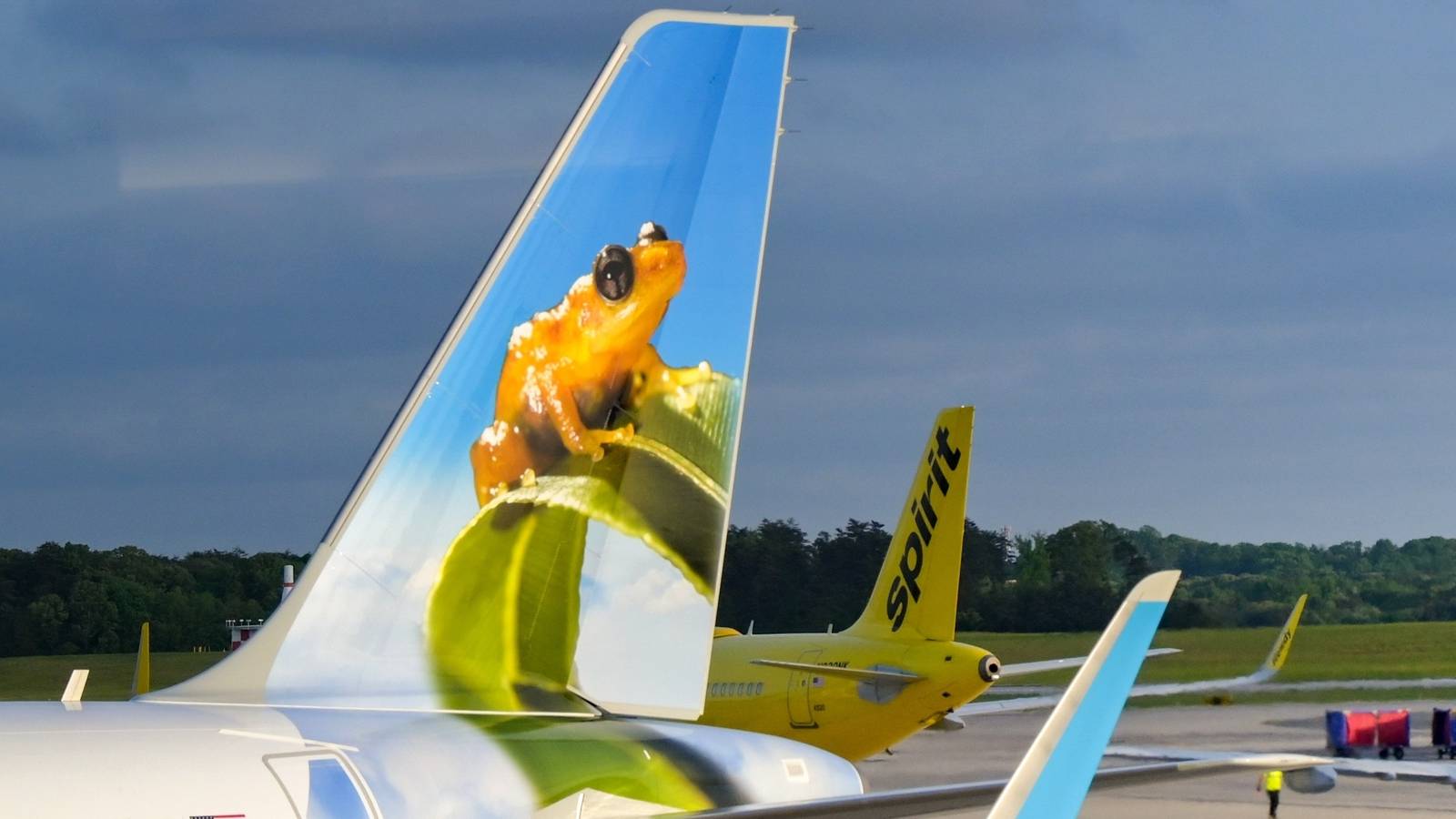 Breeze Airways' CEO David Neeleman Expects Spirit & Frontier Airlines To Retry Merger