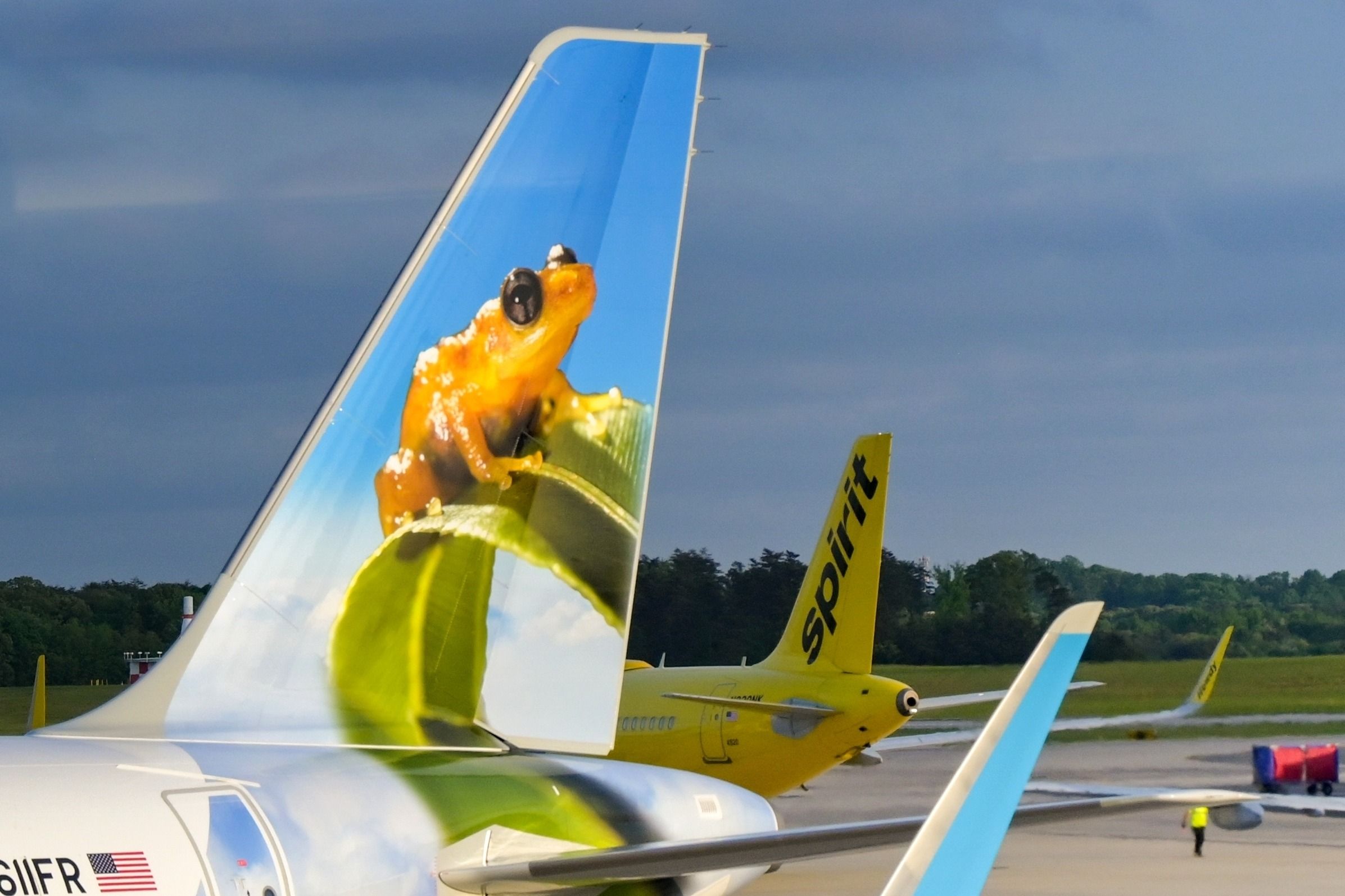 Breeze Airways' CEO David Neeleman Expects Spirit & Frontier Airlines To Retry Merger