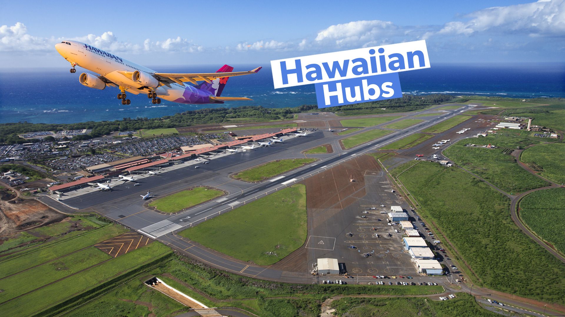 something-for-everyone-a-brief