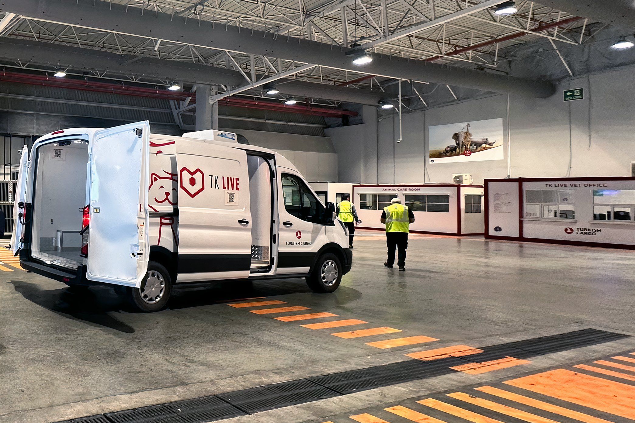 How Turkish Airlines Transports Live Animals Around The World, image size:1266x844