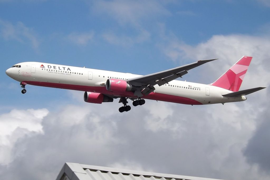 Which Delta Air Lines Planes Have Special Liveries & Why?