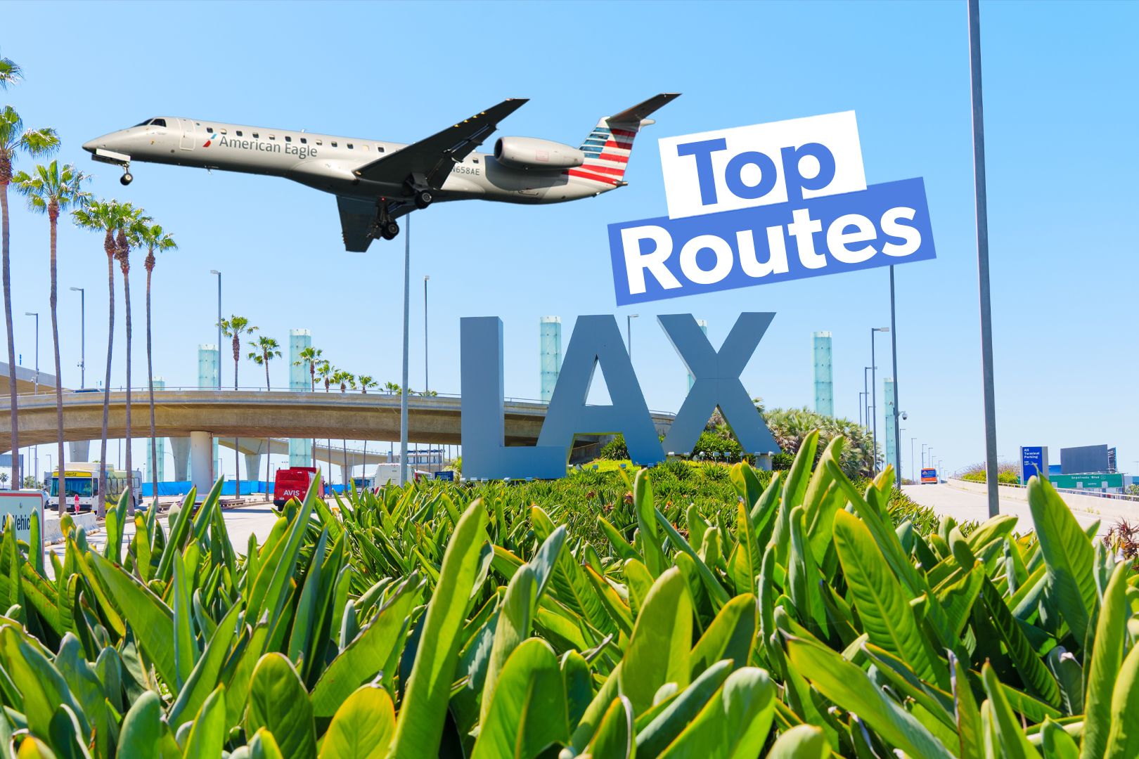 200+ Monthly Rotations: American Airlines' Top 5 Domestic Routes From Los Angeles International Airport