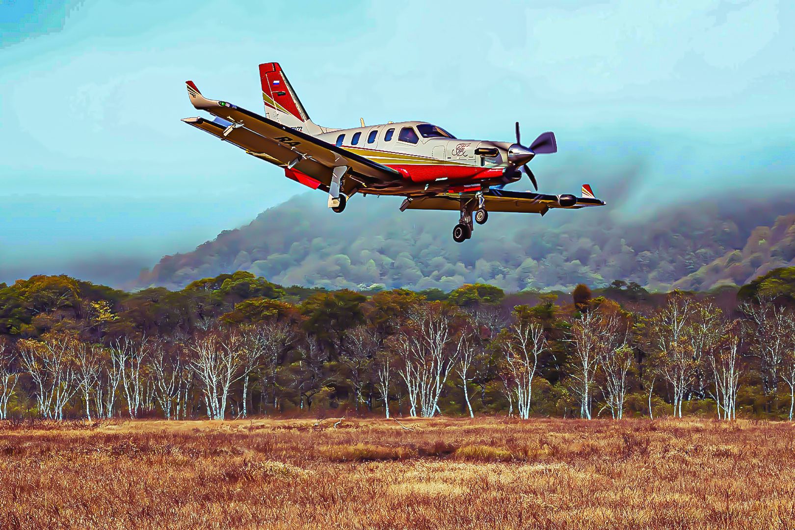 Daher TBM series single engine turboprop