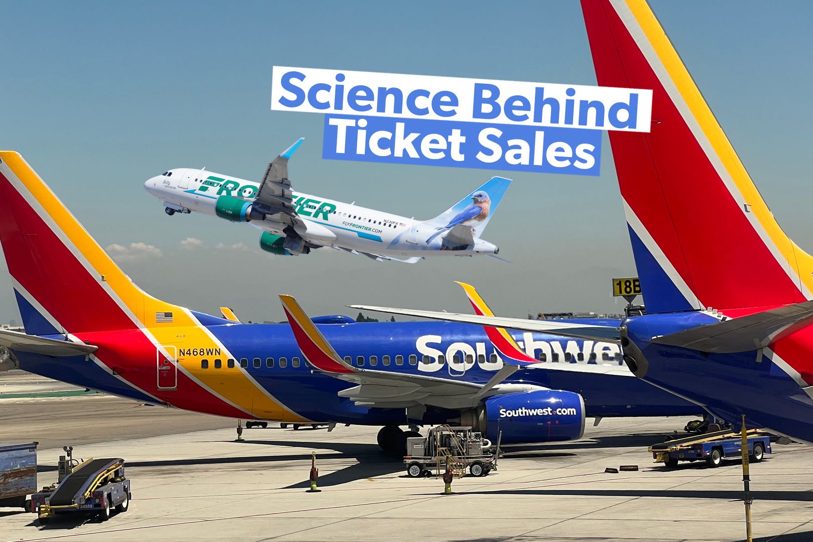 Examined: Distribution Costs & How Low-Cost Carriers Avoid Them