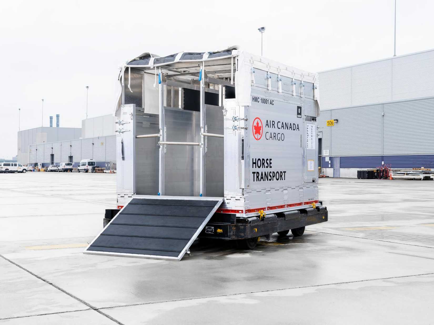 How Are Large & Exotic Animals Transported By Air?