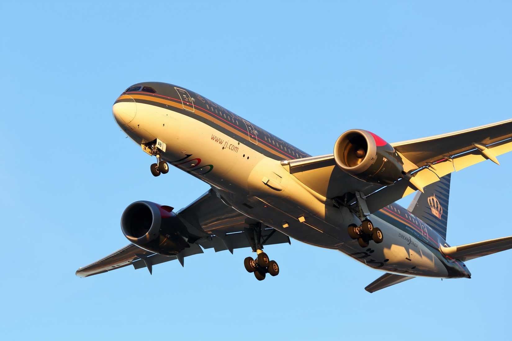 Royal Jordanian 787