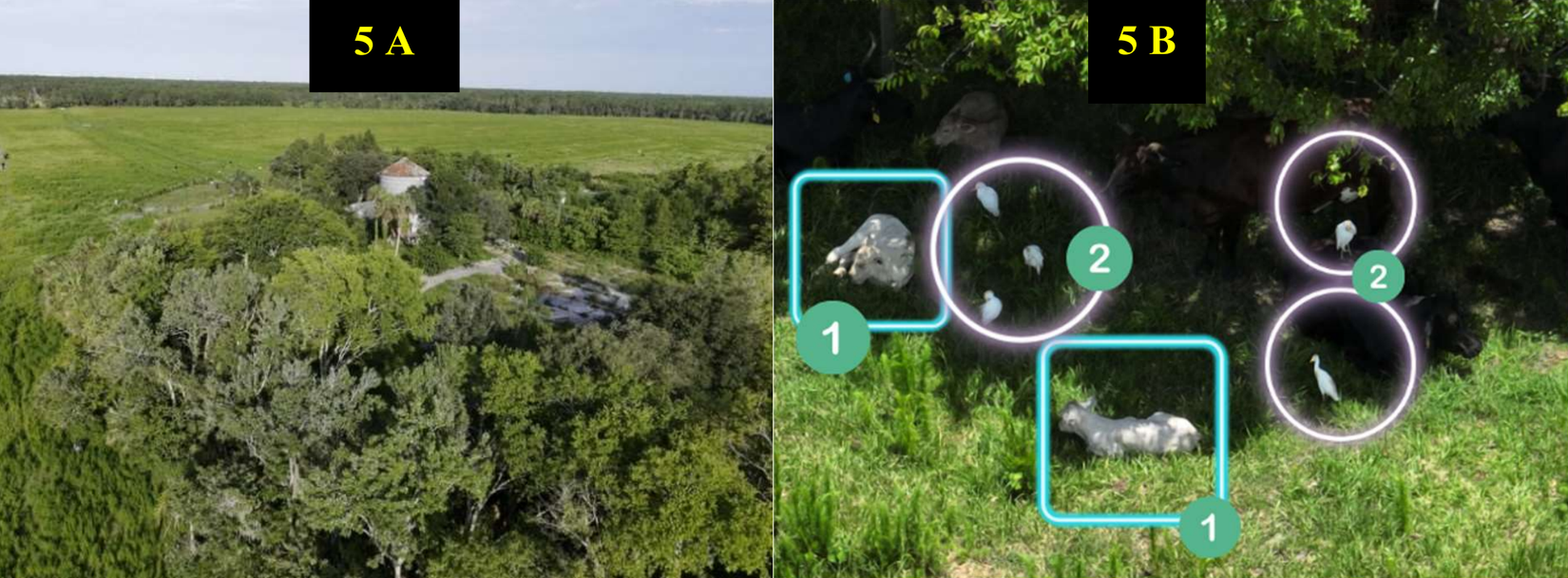 Embry-Riddle Aeronautical University Students Trial Drones At Airports ...