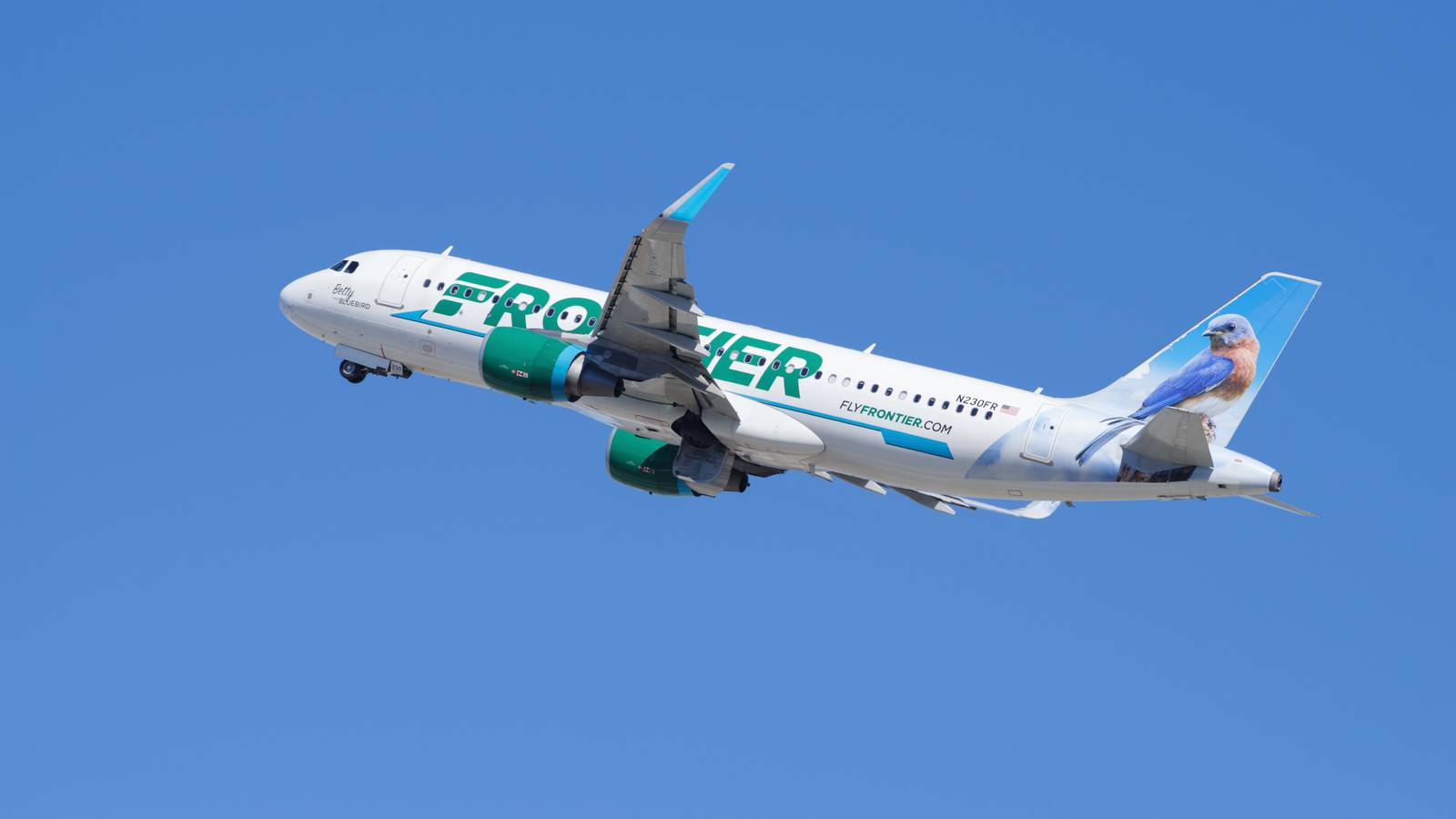 Frontier Airlines Hosts Downtown Phoenix Treasure Hunt With Free Flight Vouchers Hidden In Piggy Banks