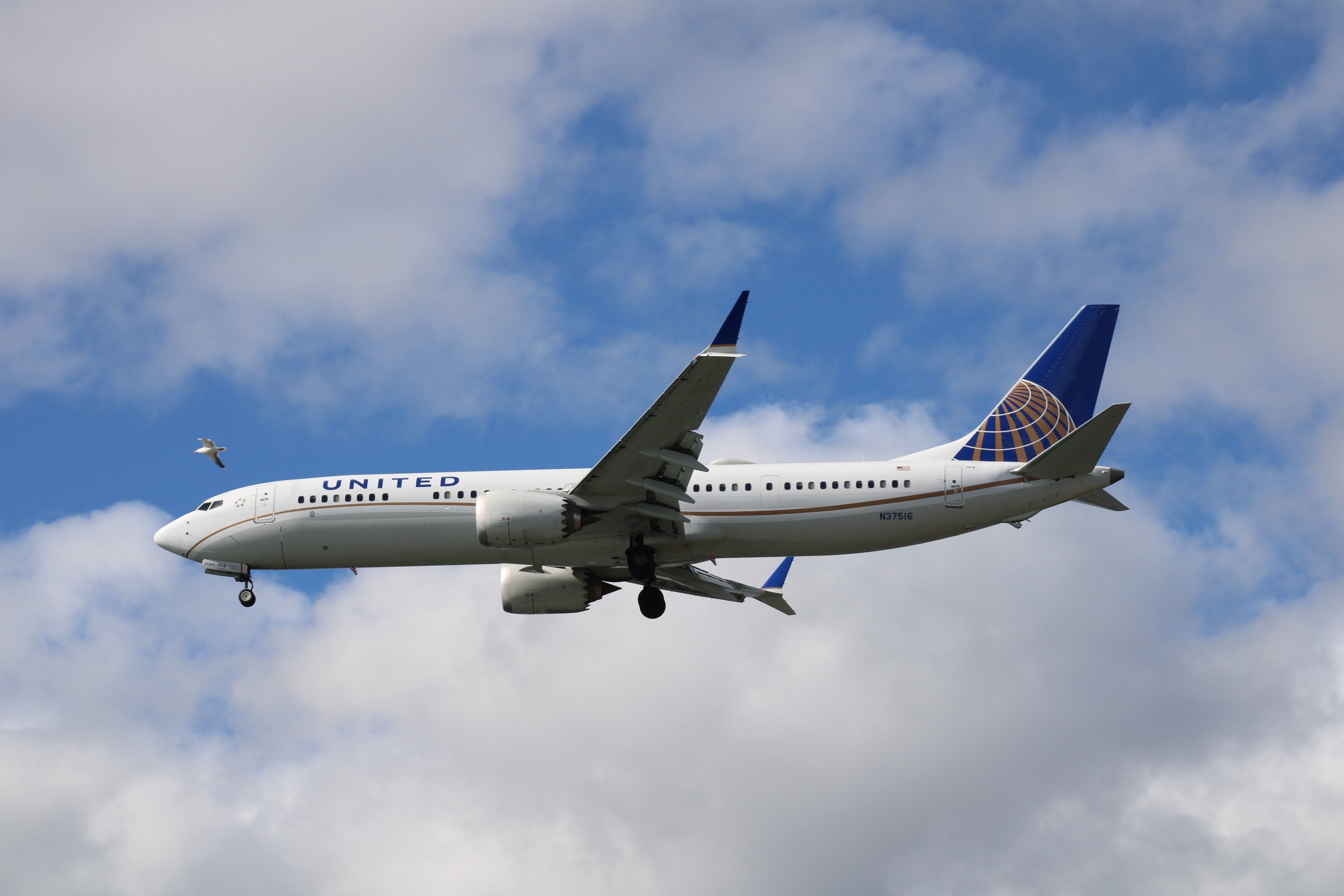‘Most Fuel-Efficient Aircraft’: United Airlines Receives First of 6 Boeing 737 MAX 9 From US-Based Lessor