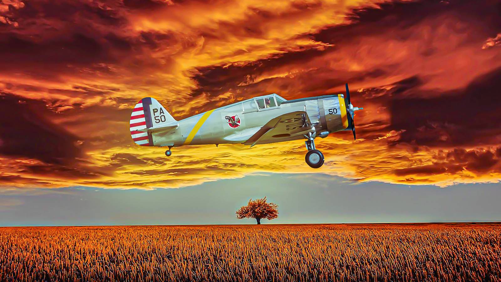Early Aircraft Industry: The History Of Curtiss Aeroplane Company
