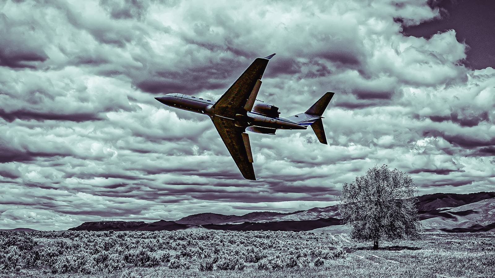 What Private Jet Does Floyd Mayweather Fly?
