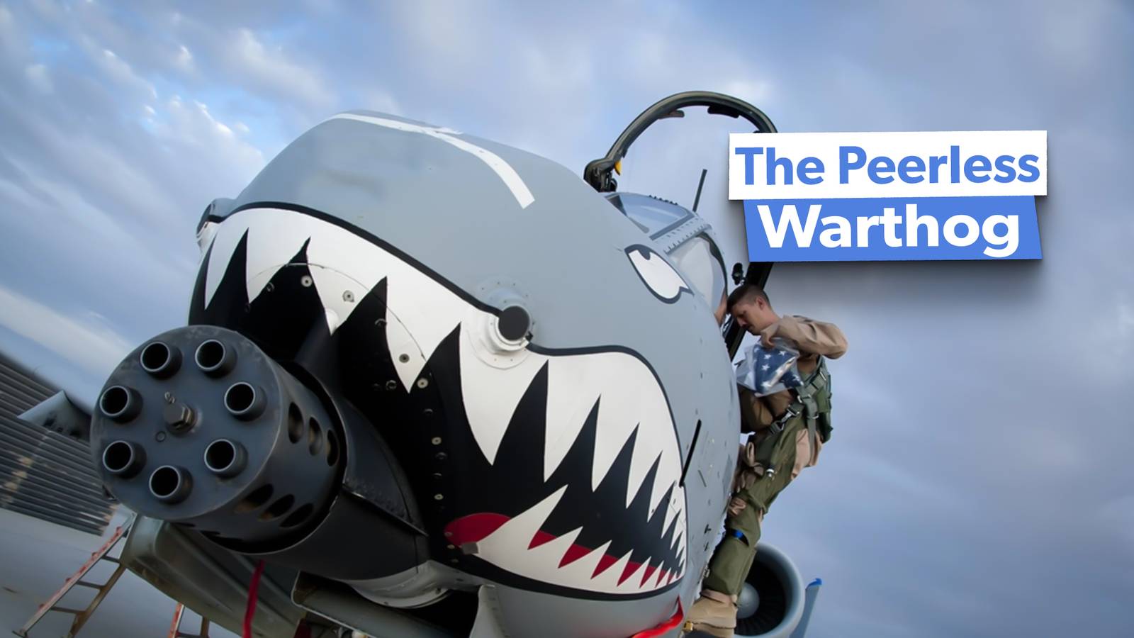 Will Any Aircraft Truly Match The Legacy Of The A-10 Warthog?