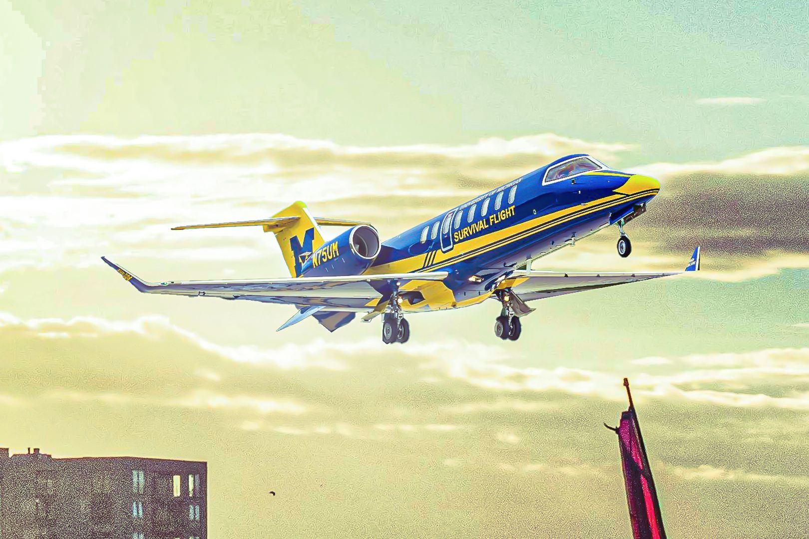 How Does The University Of Michigan Survival Flight Program Work?