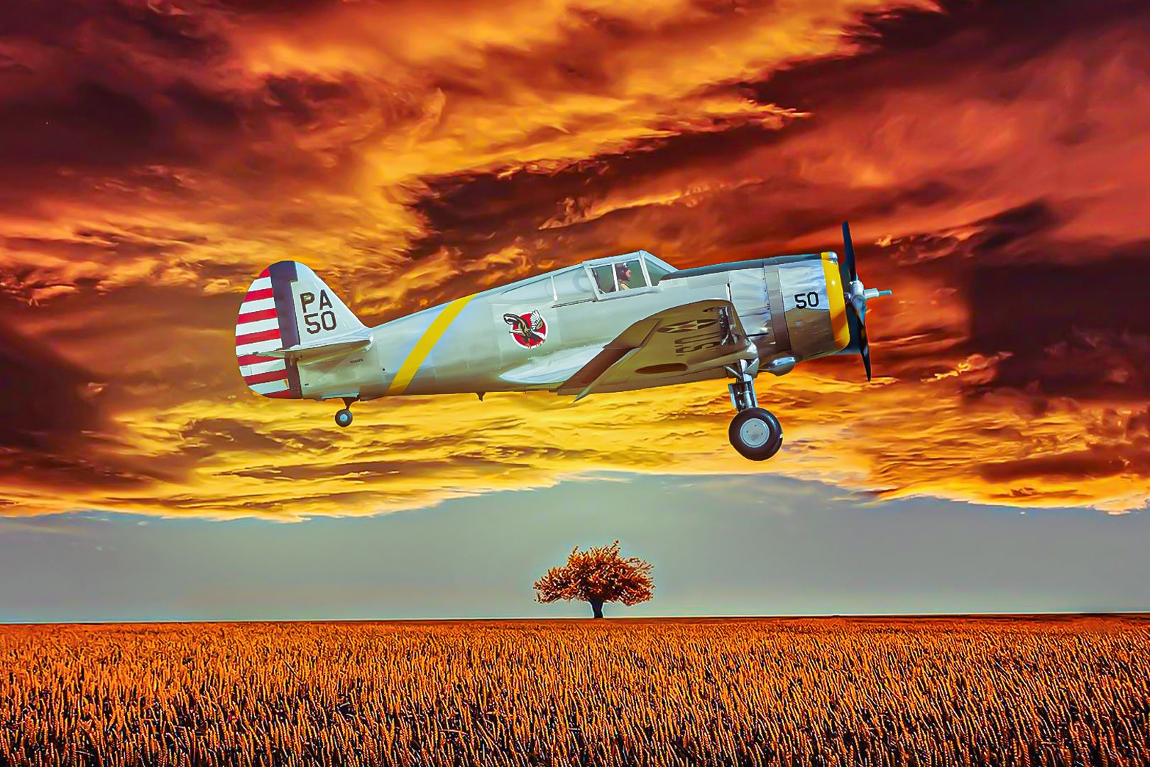 Early Aircraft Industry: The History Of Curtiss Aeroplane Company