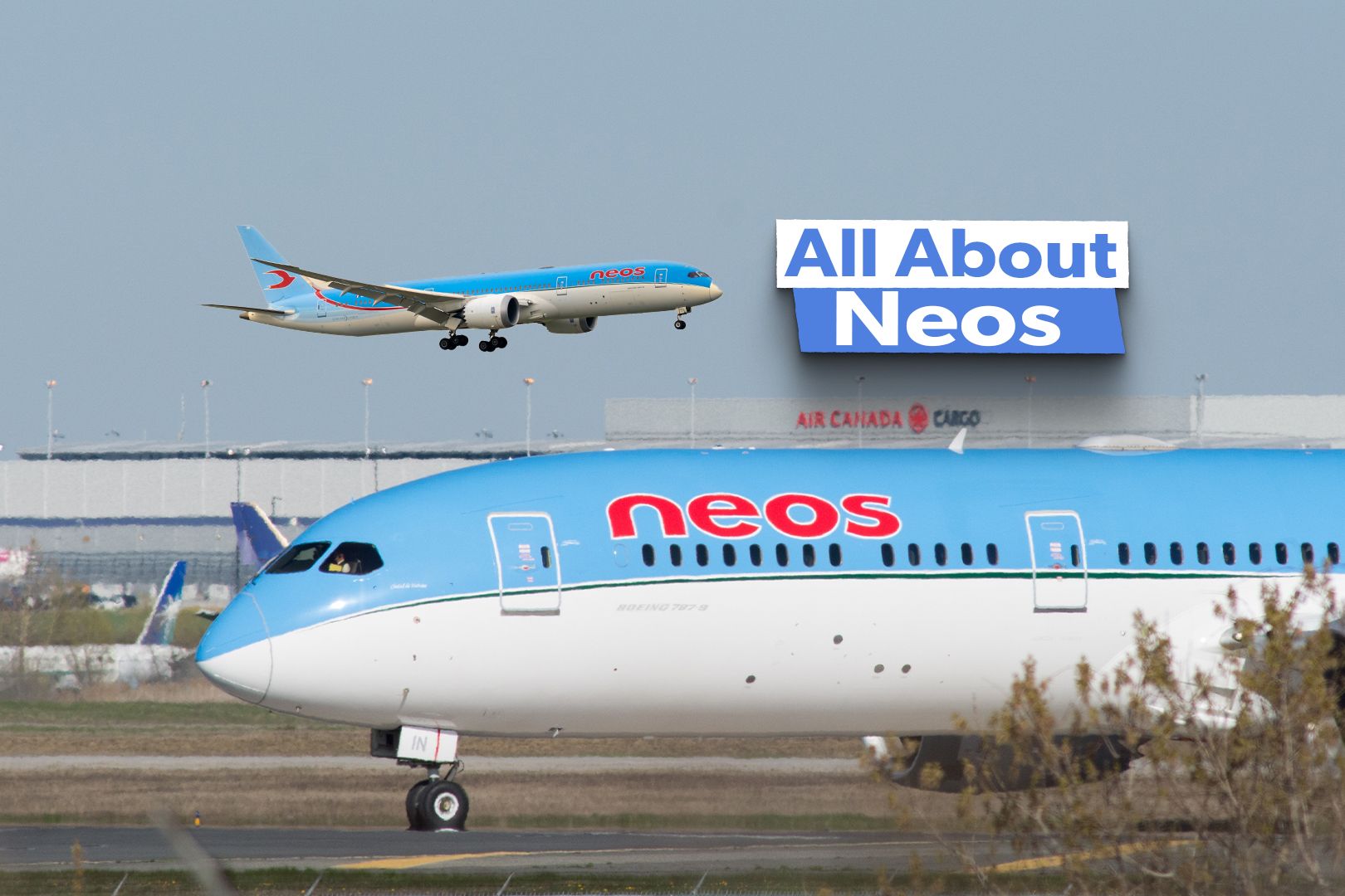 Now Going Transatlantic: Everything You Need To Know About Italian Airline Neos
