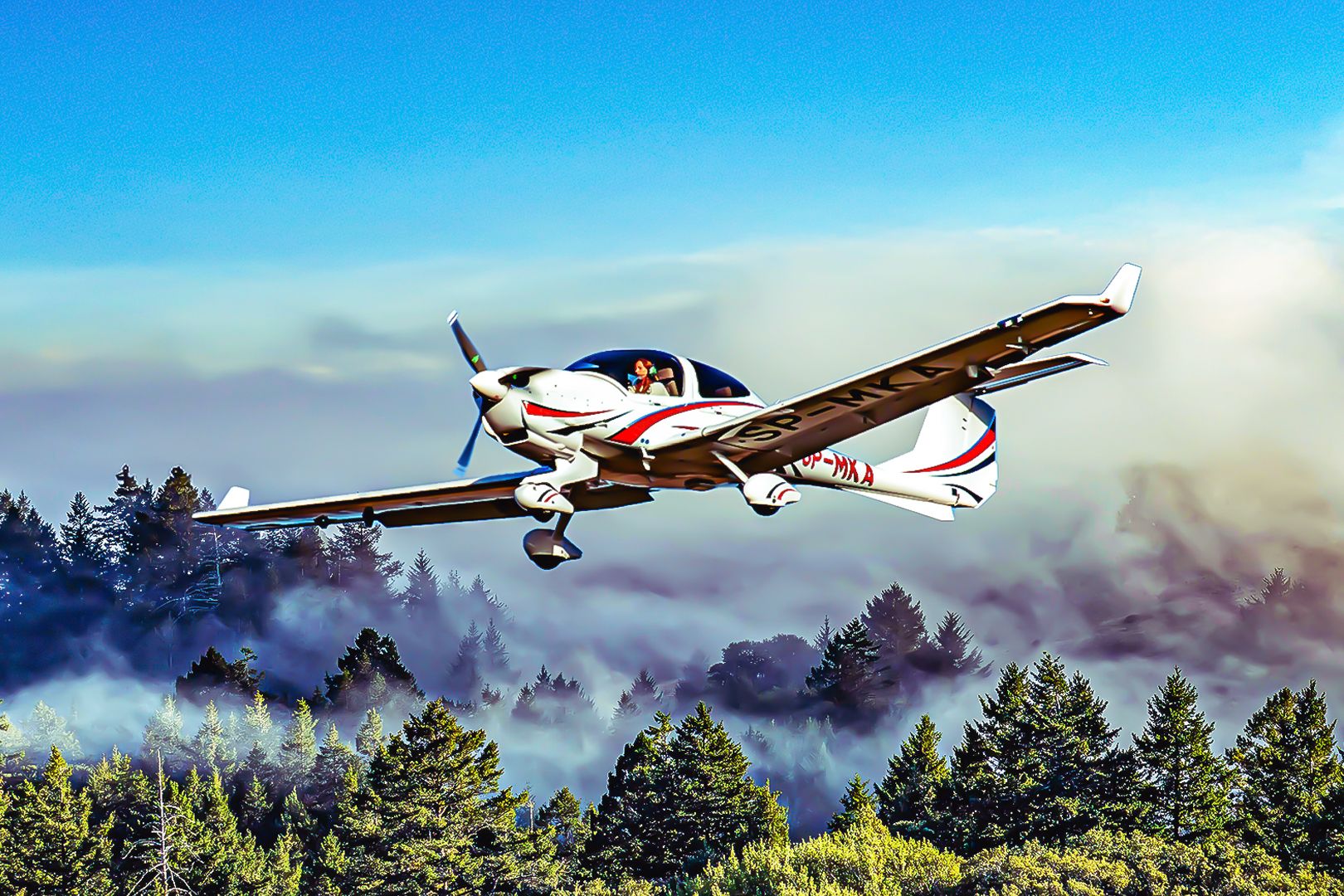 Most Popular Diamond: A Guide To The Diamond DA40 Star