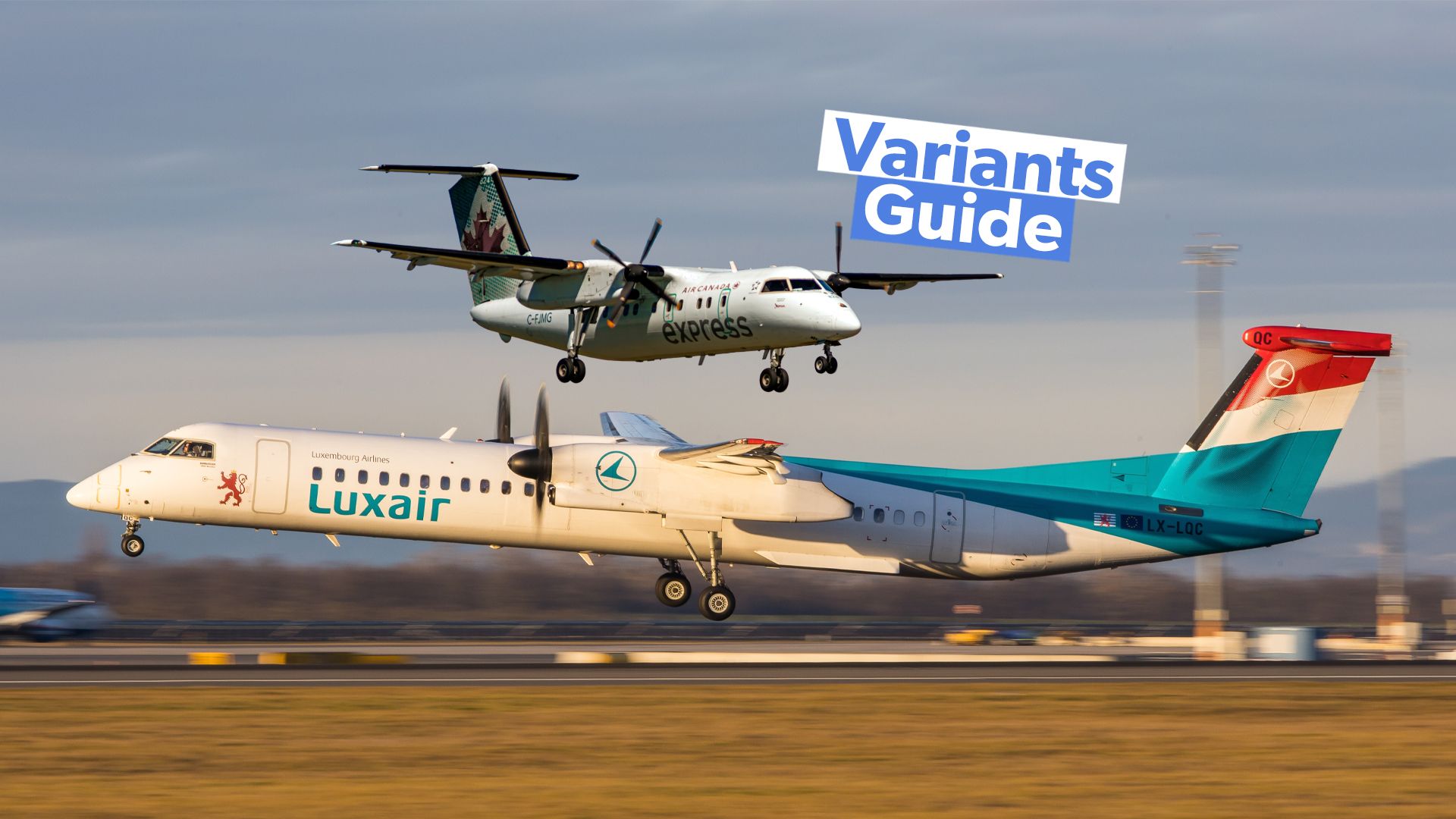 examined-the-x-variants-that-