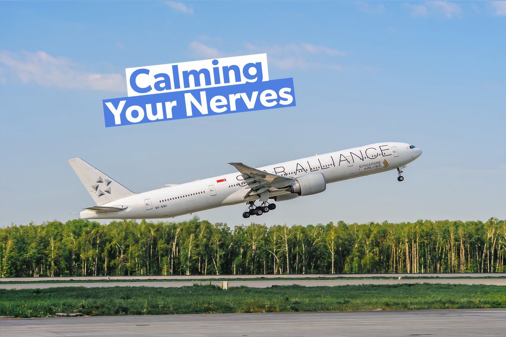 Scared Of Flying 5 Steps To Help You Overcome Your Fear