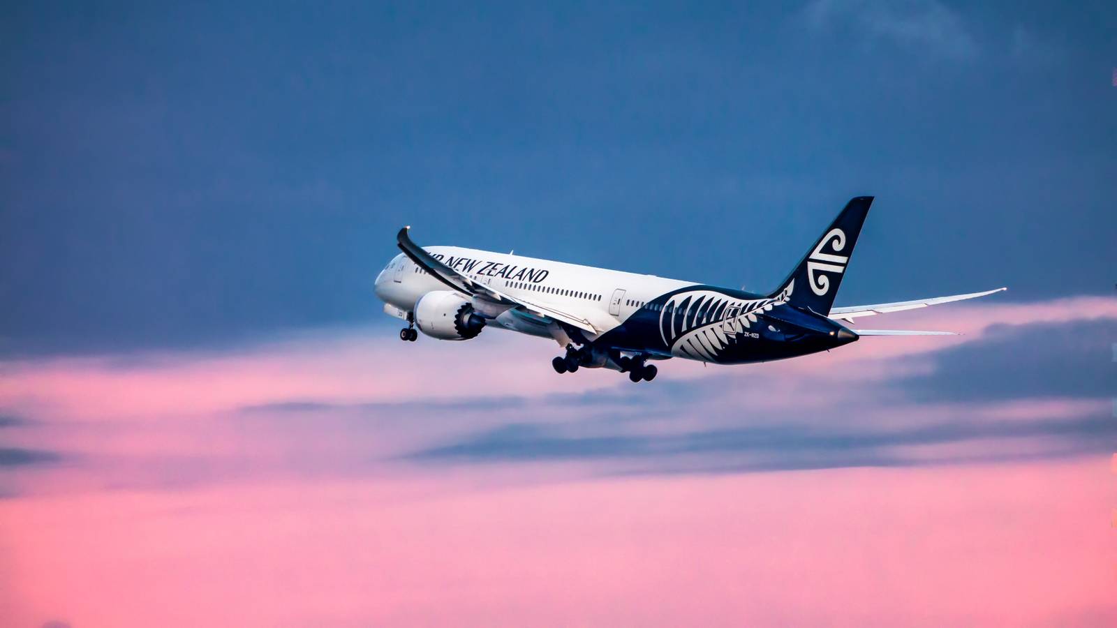 Air New Zealand's Can't-Miss Christmas: Airline Surprises San Francisco Passengers With Holiday Celebration Onboard