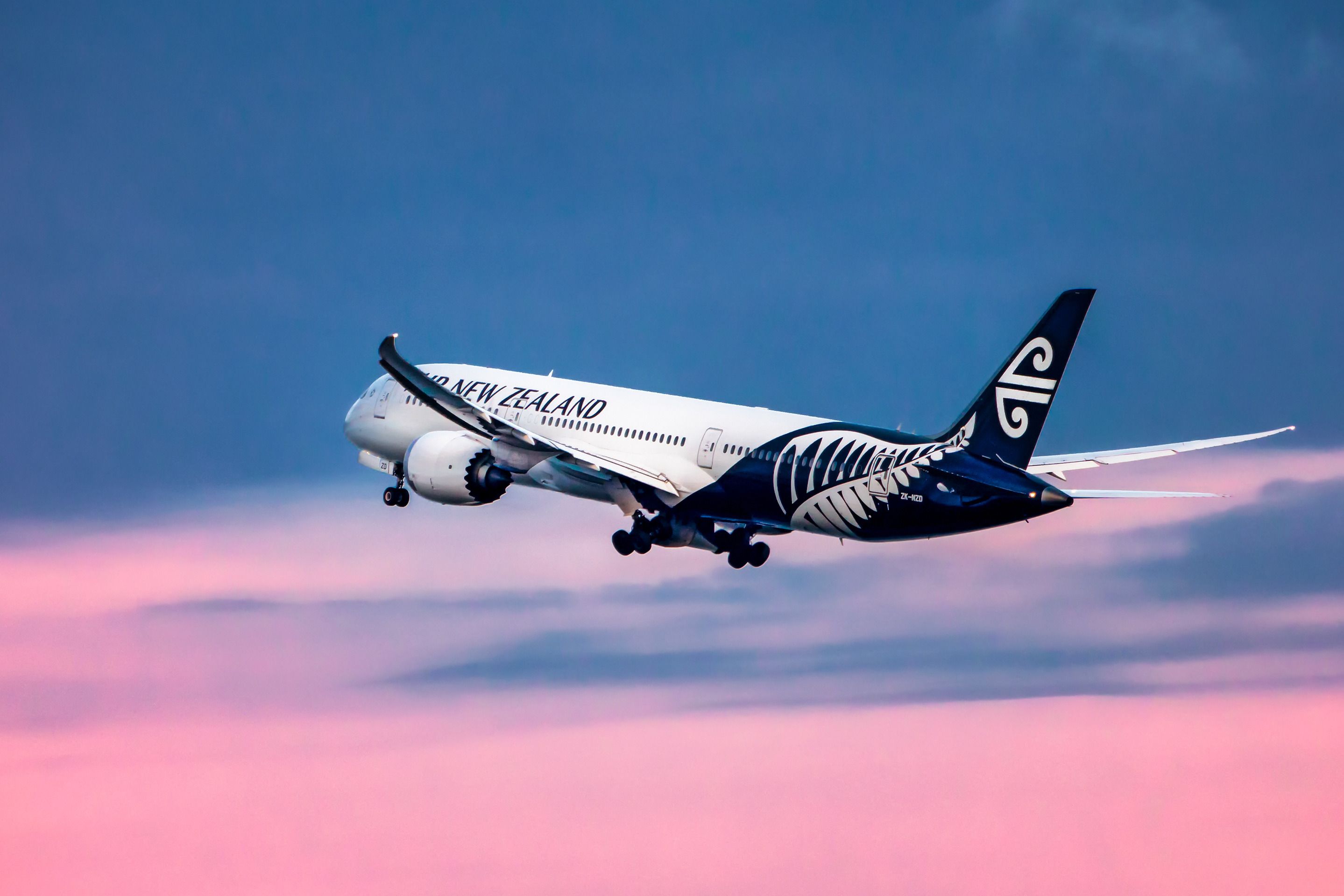 No Cherry Left Behind: Air New Zealand's 5 Million Kilo Holiday