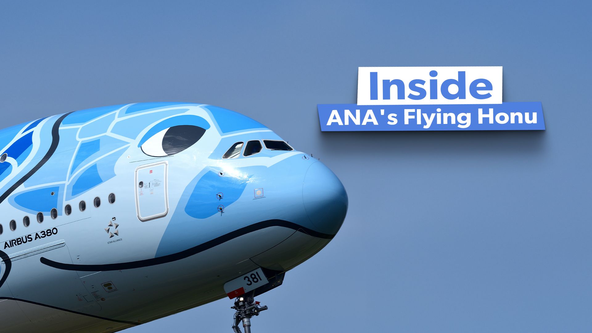 What's Inside The ANA Flying Honu Airbus A380s?